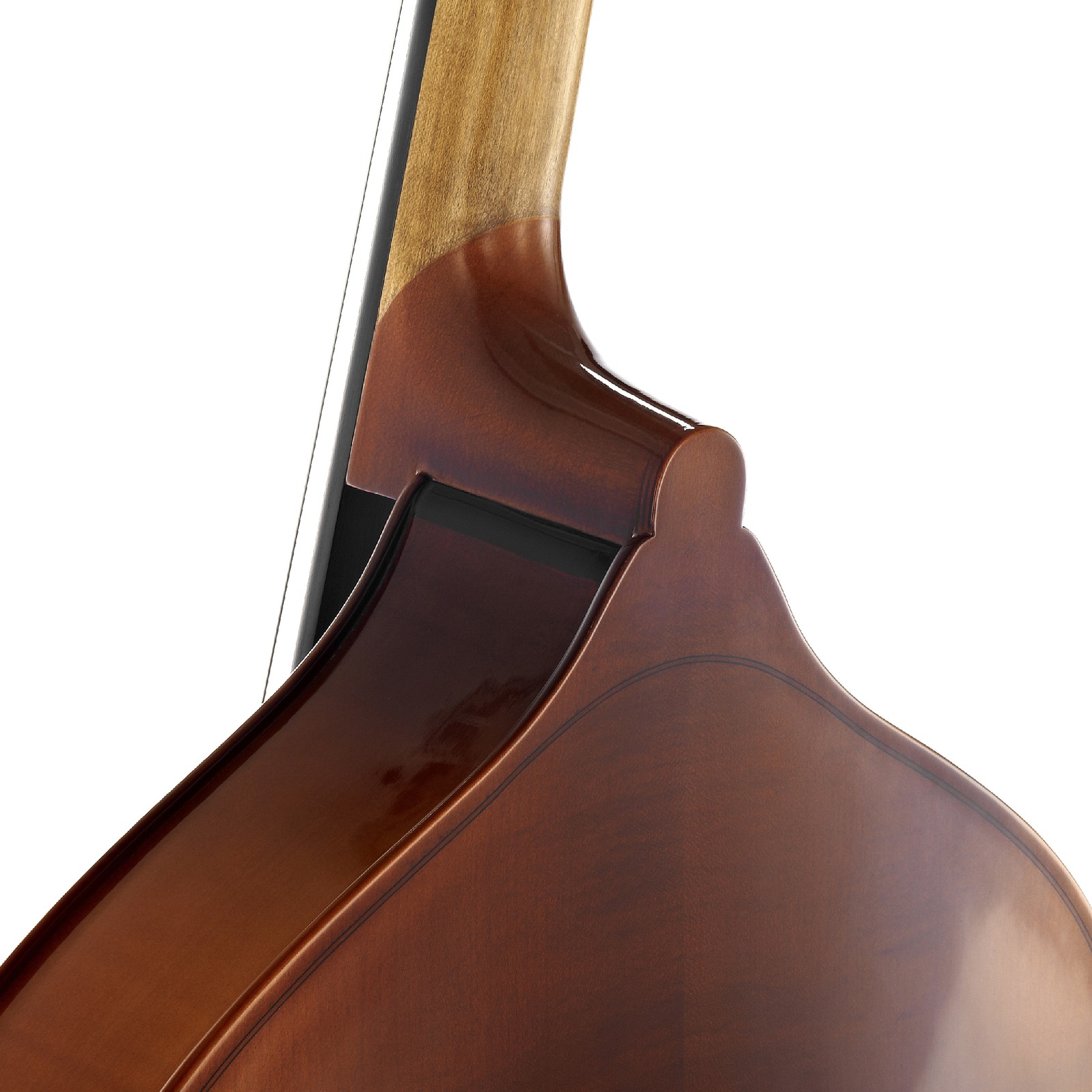 Thomann Slim Line Double Bass Europe 1 Halsübergang