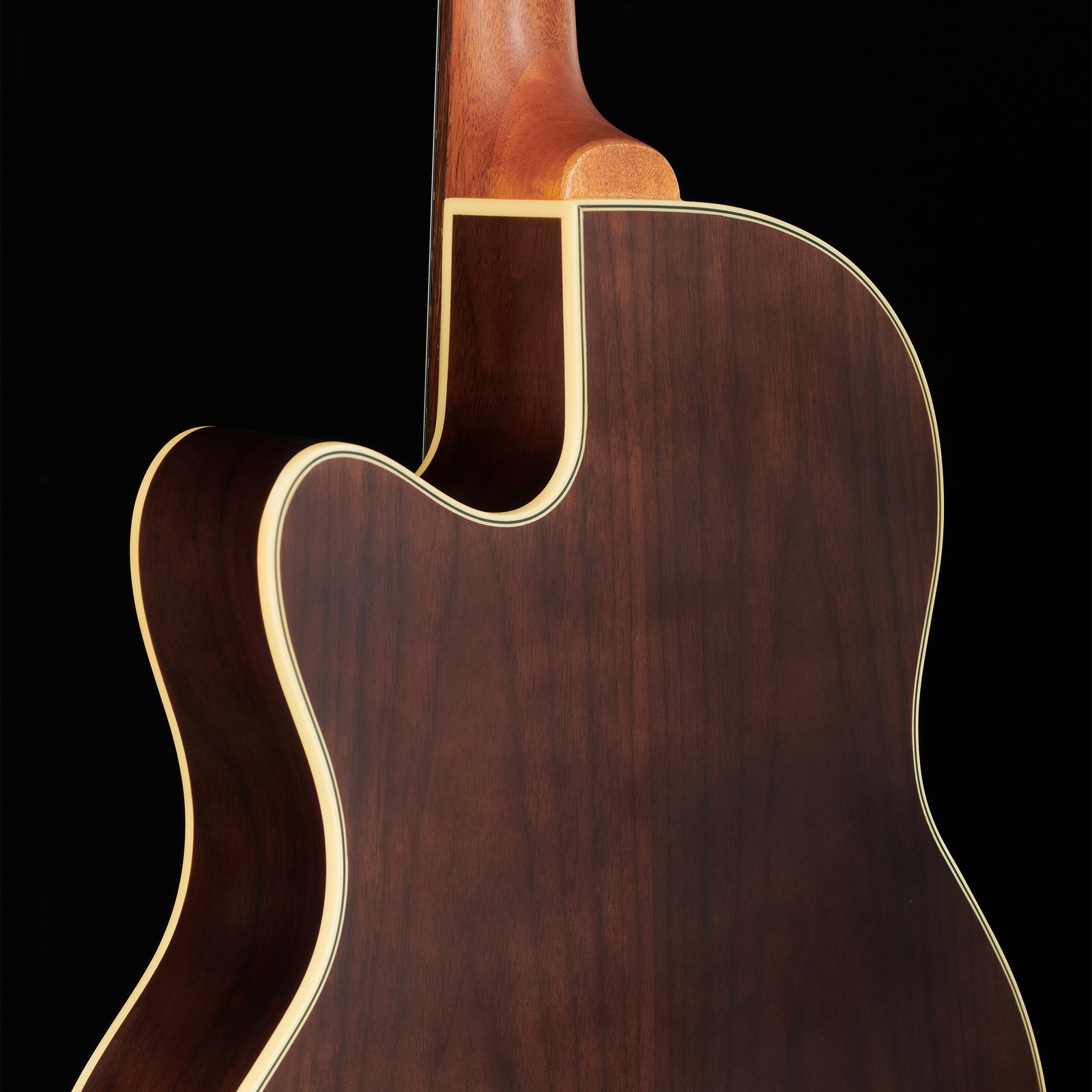 Rear view, Warwick Alien Deluxe 4 Hybrid Thinline