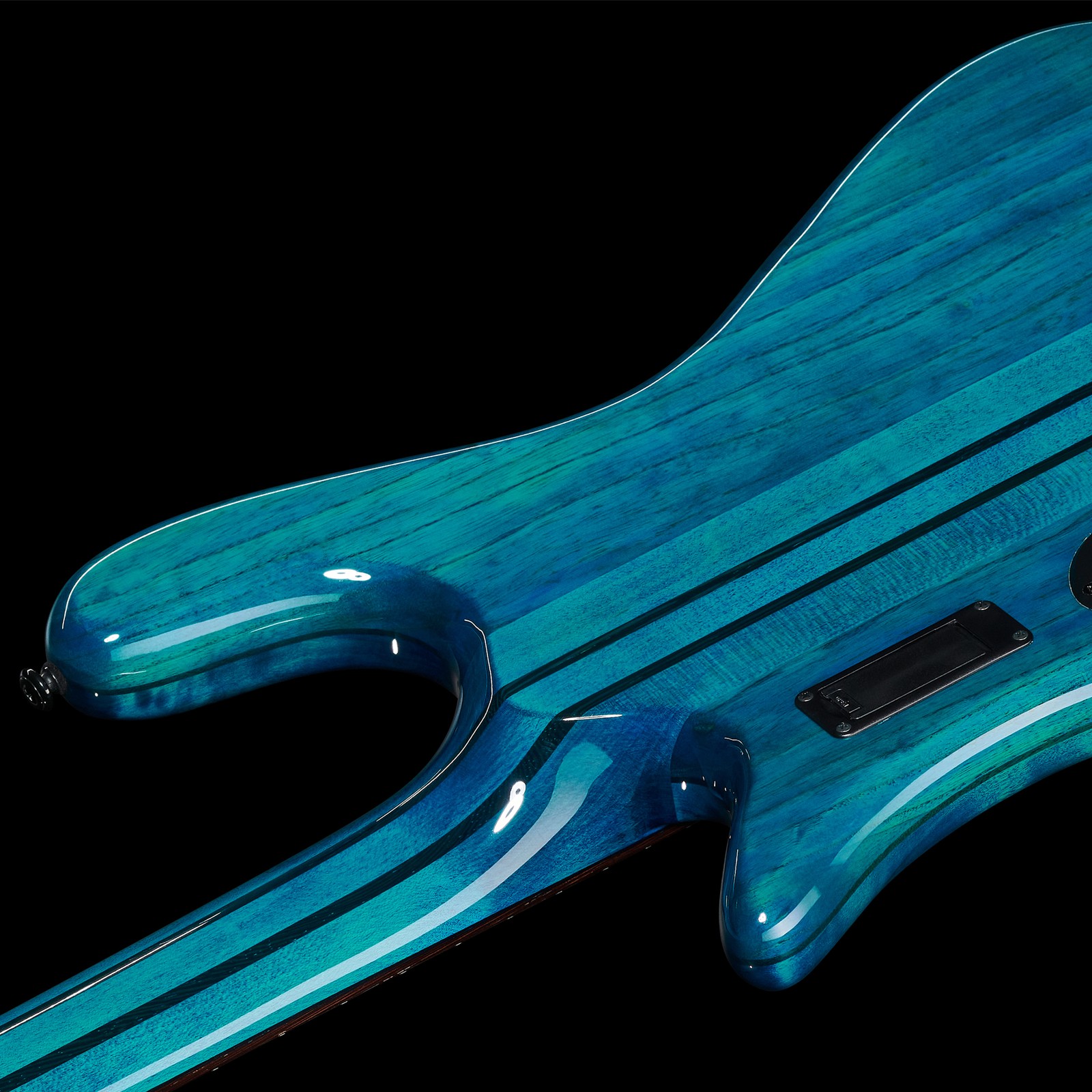 Spector NS Dimension MS 4 Black & Blue – Rückseite