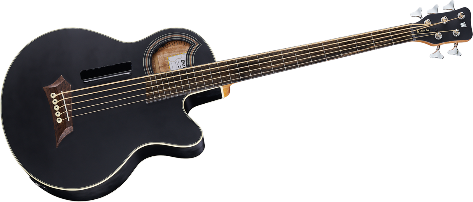 Warwick RockBass Alien Standard 5 Black Fretless, five-string bass