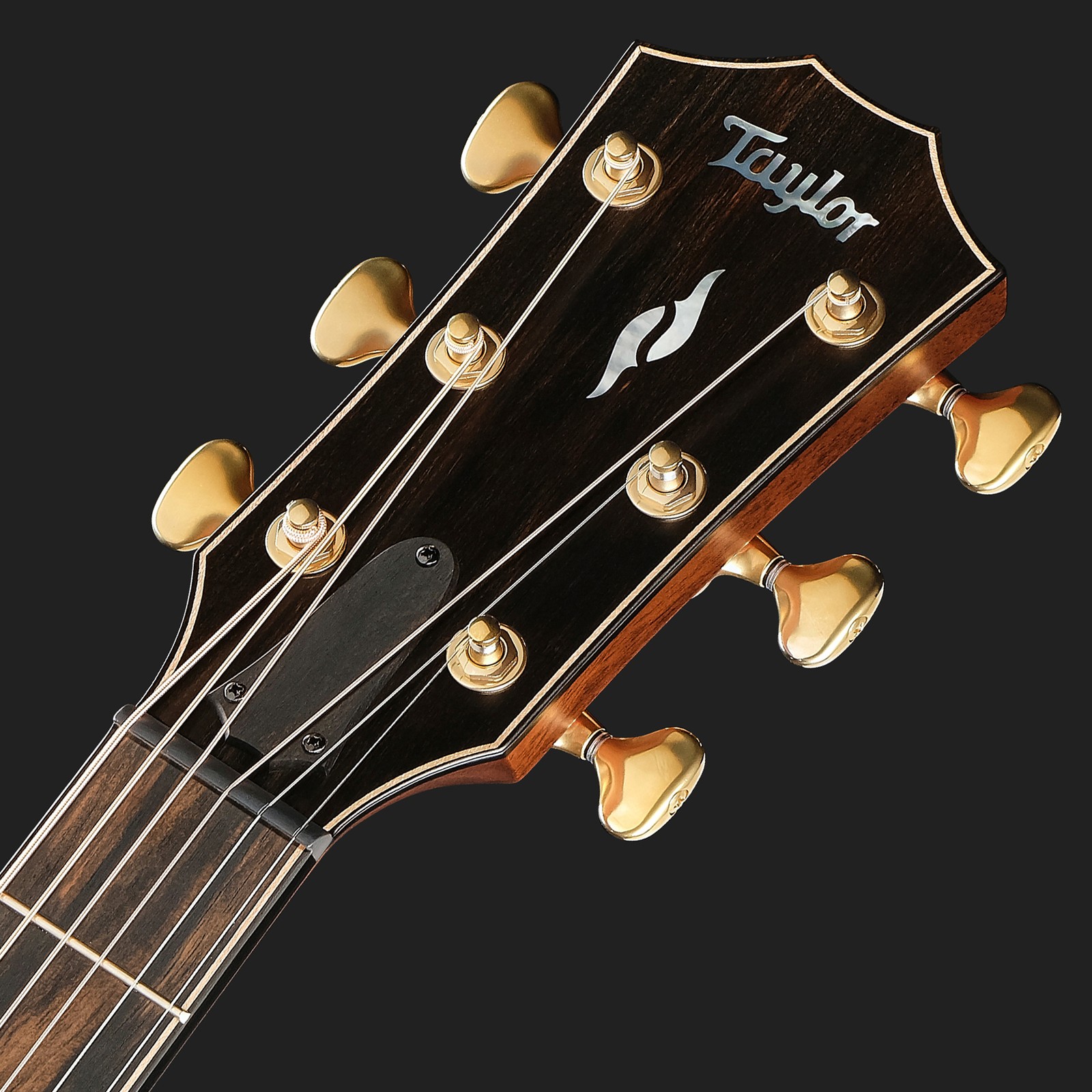 Kopfplatte der Taylor BE 814ce Blacktop Next Gen Westerngitarre