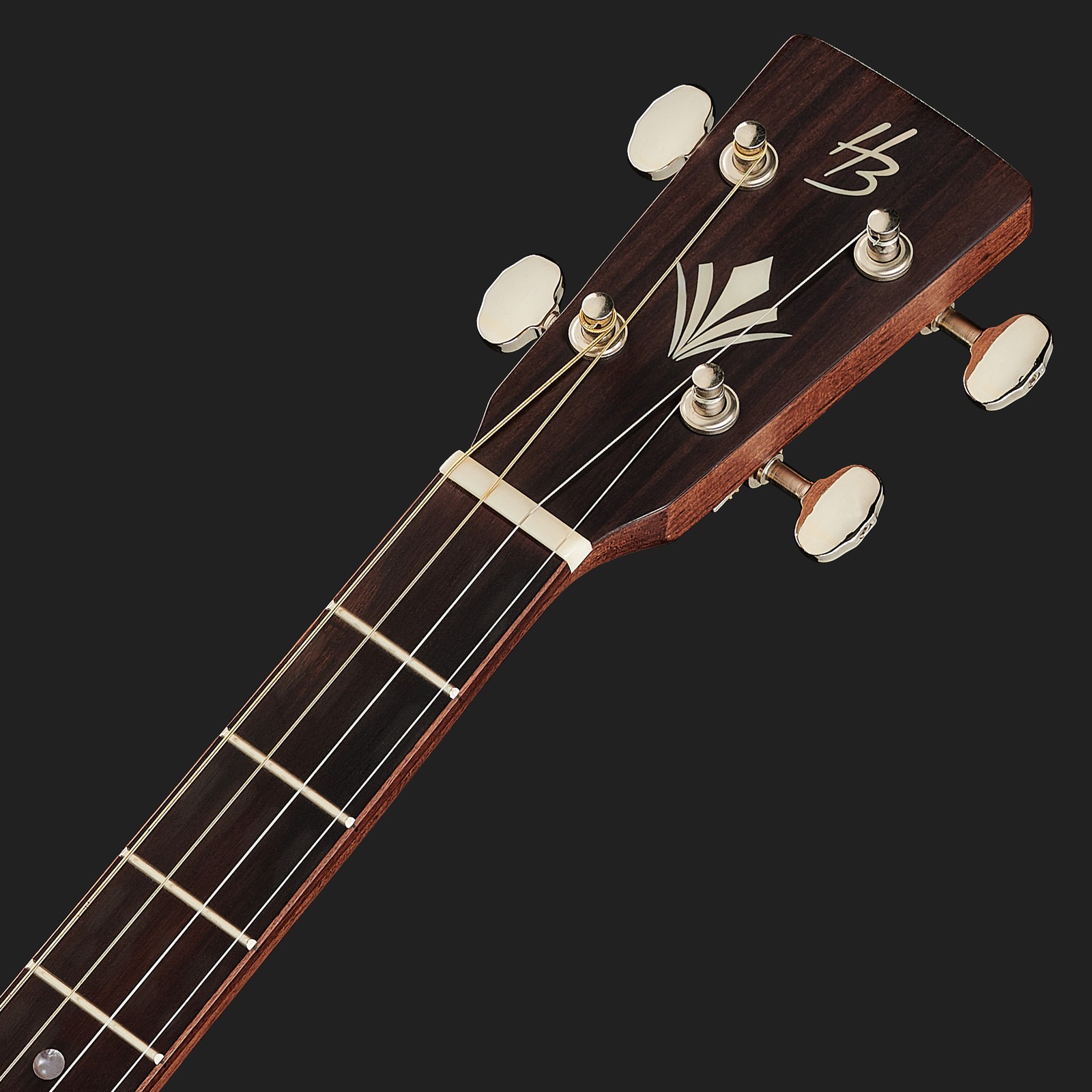 HB Logo auf der Kopfplatte einer Tenorgitarre