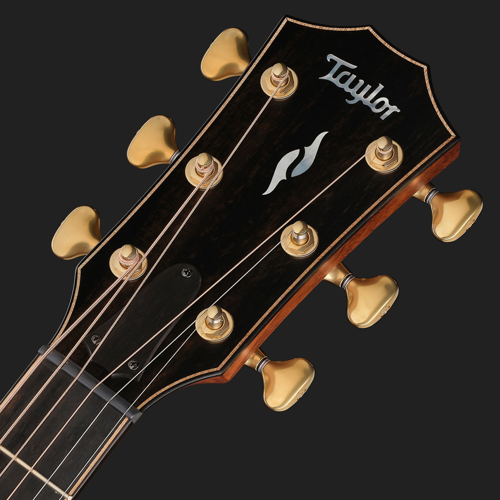 Kopfplatte der Taylor Builders Edition 814ce NG Westerngitarre