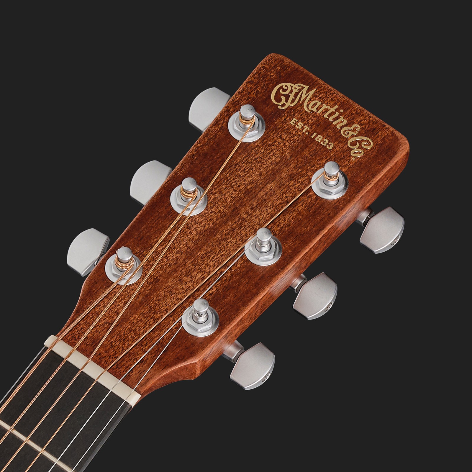 Martin Guitar D Jr E StreetMaster headstock