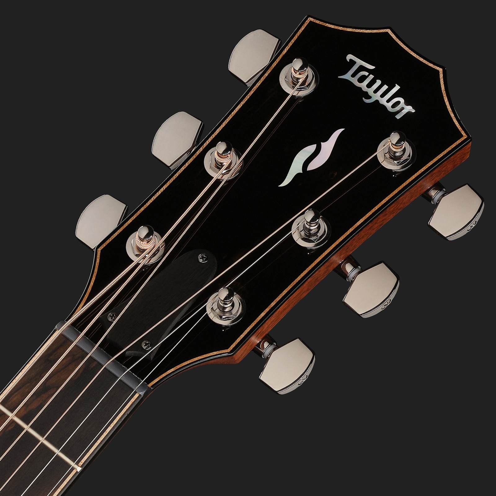 Kopfplatte der Taylor 814ce Cocobolo Next Gen LTD Westerngitarre