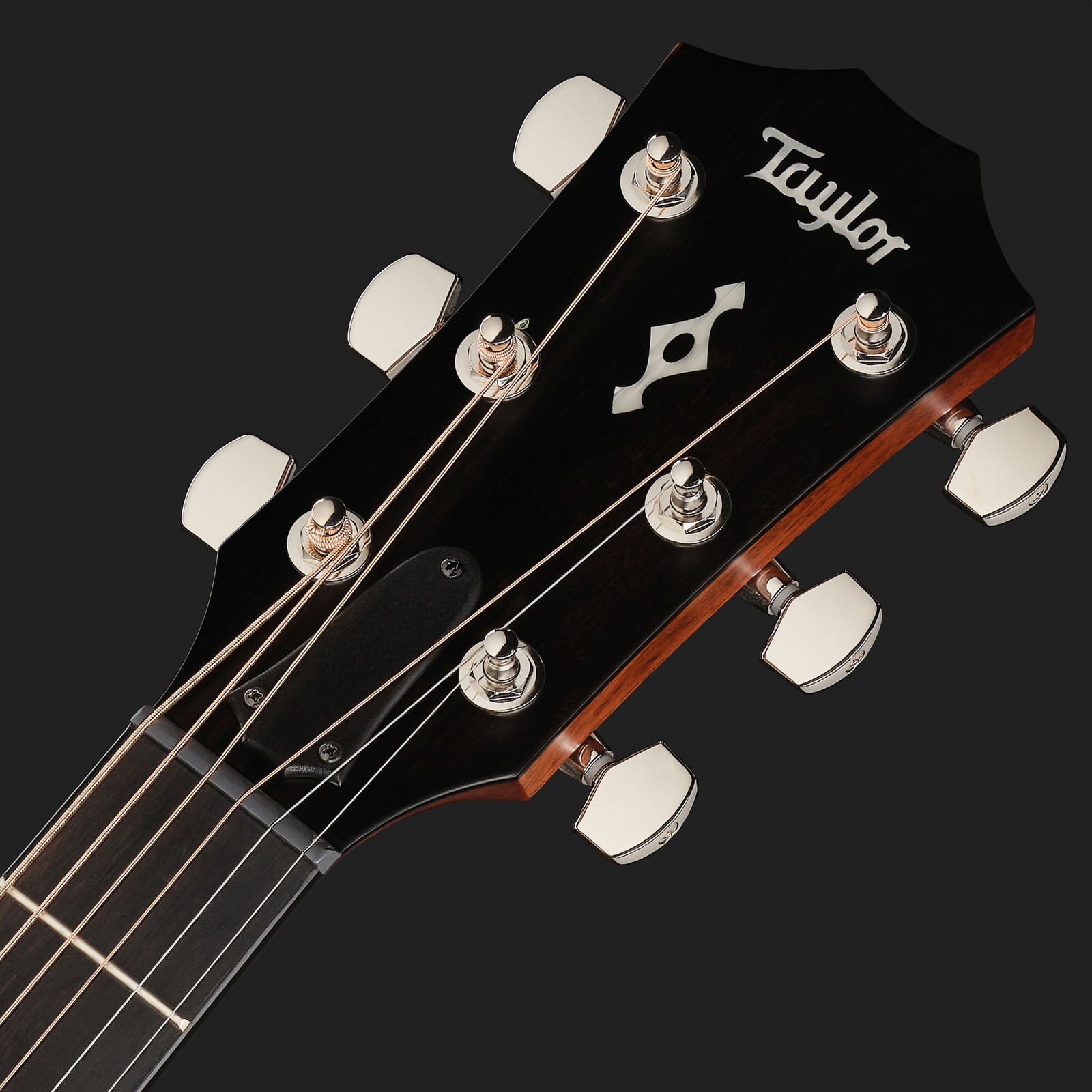 Kopfplatte der Taylor 414ce Next Generation Natural Westerngitarre