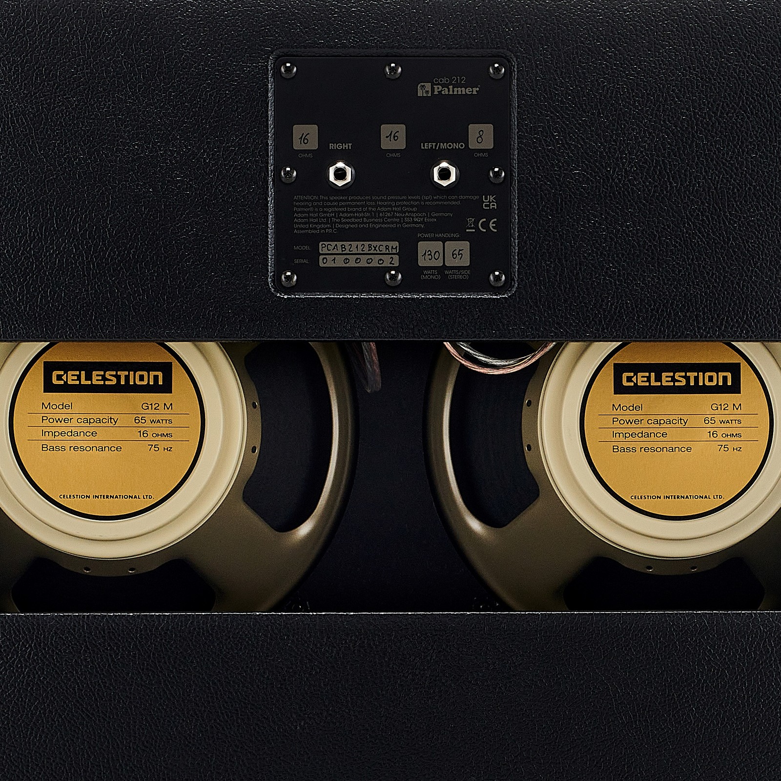 offene Rückseite und Anschlüsse auf der Rückseite des Gitarrenlautsprechers