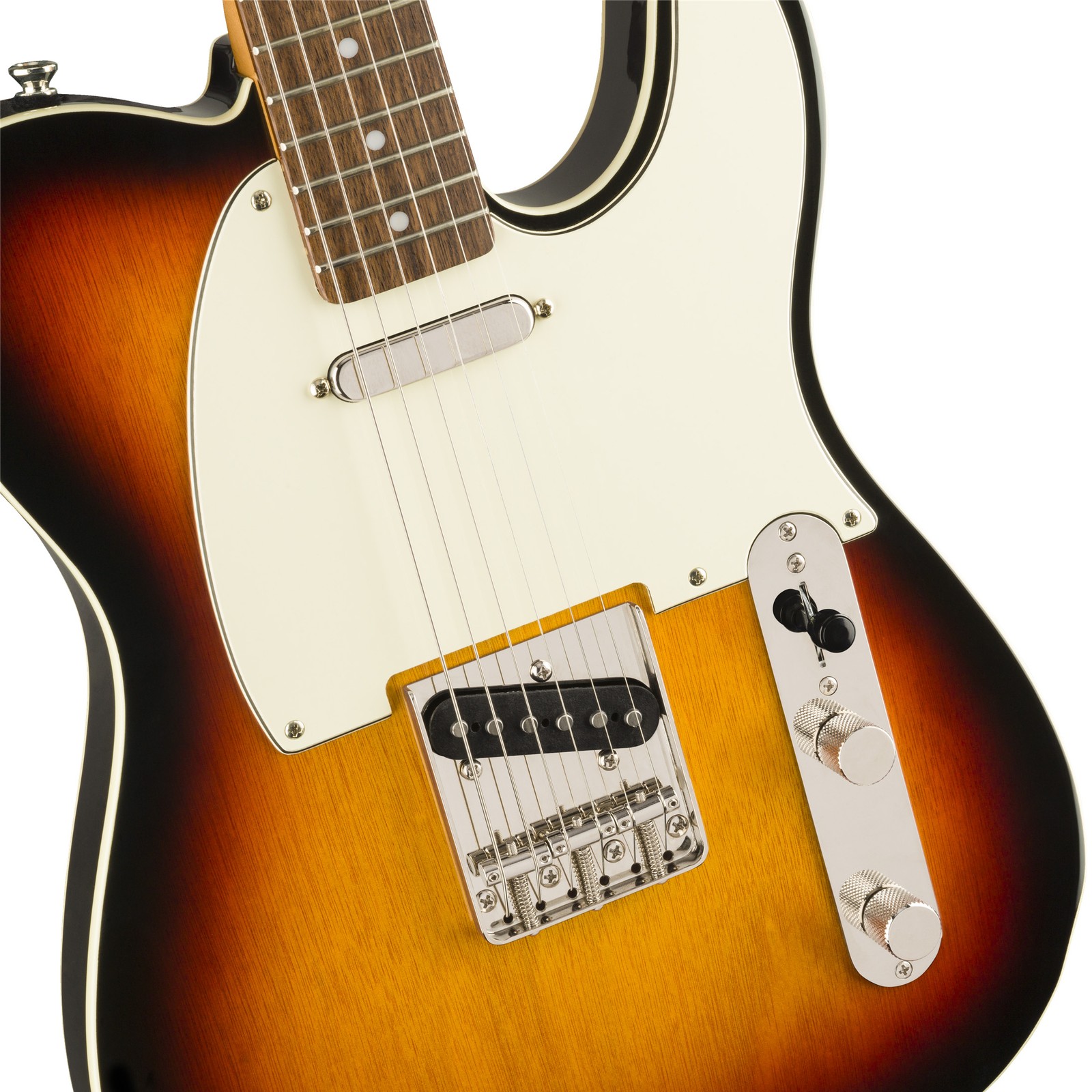 Zwei Singlecoils auf der Squier by Fender Telecaster Custom