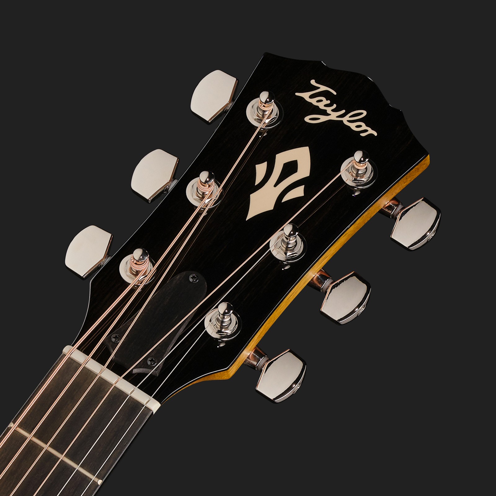 Taylor Gold Label 717e Sunburst Firestripe, acoustic steel-string, headstock