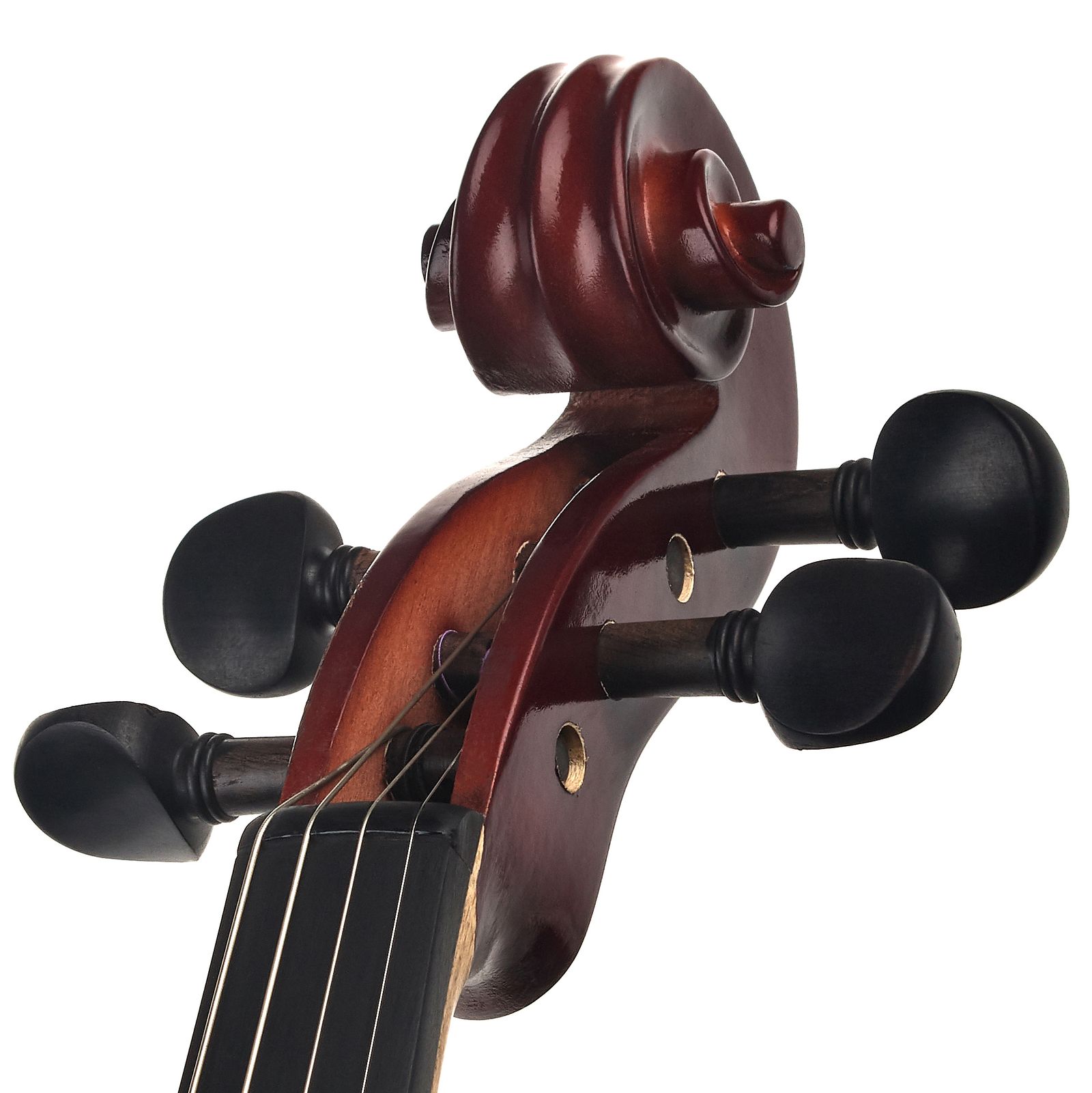 Thomann Europe 5-String Violin 4/4 – Thomann France