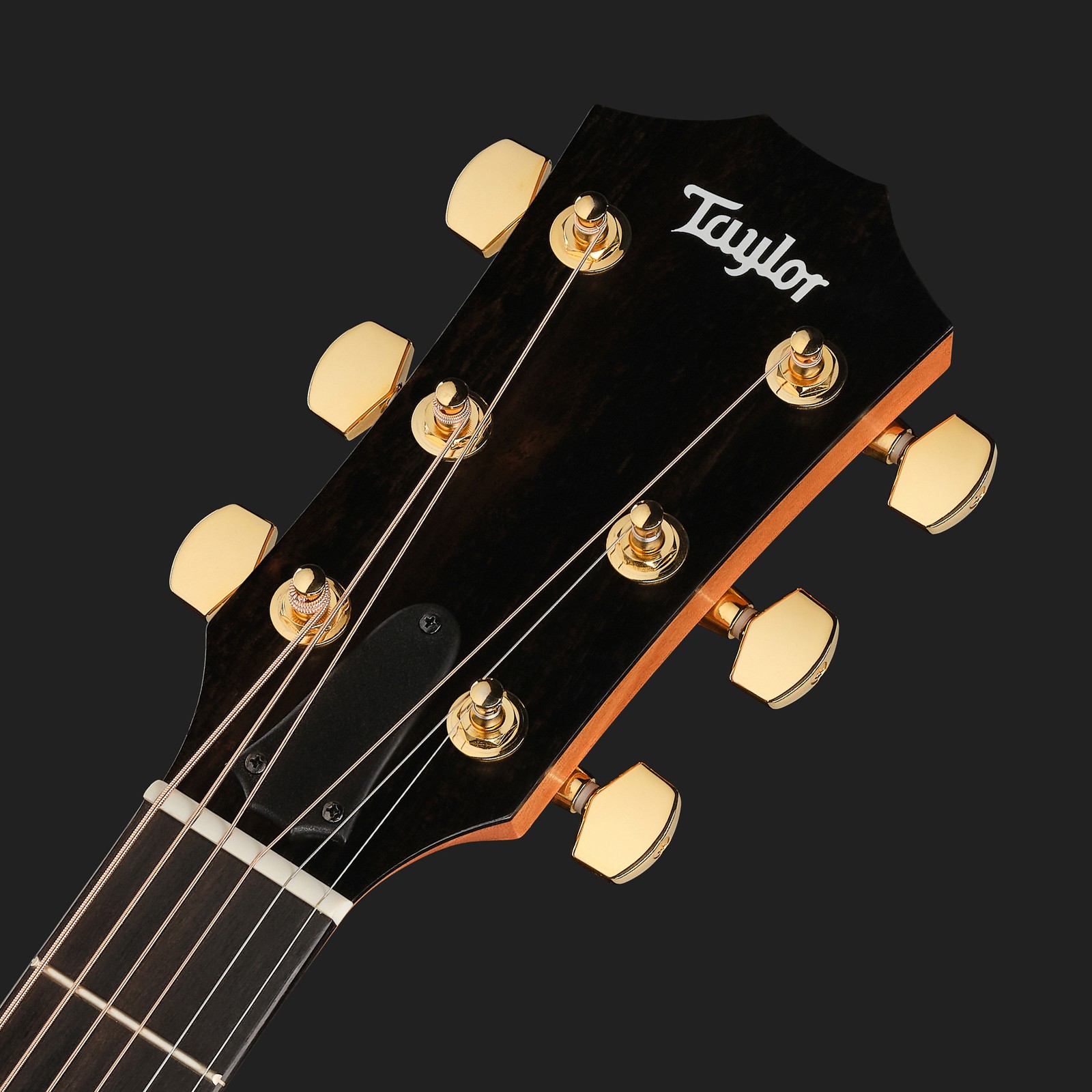 Kopfplatte der Taylor 224ce-K DLX Westerngitarre