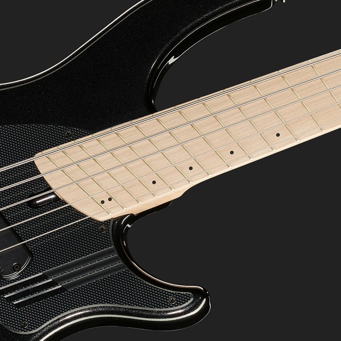 Multiscale und Fanned Frets