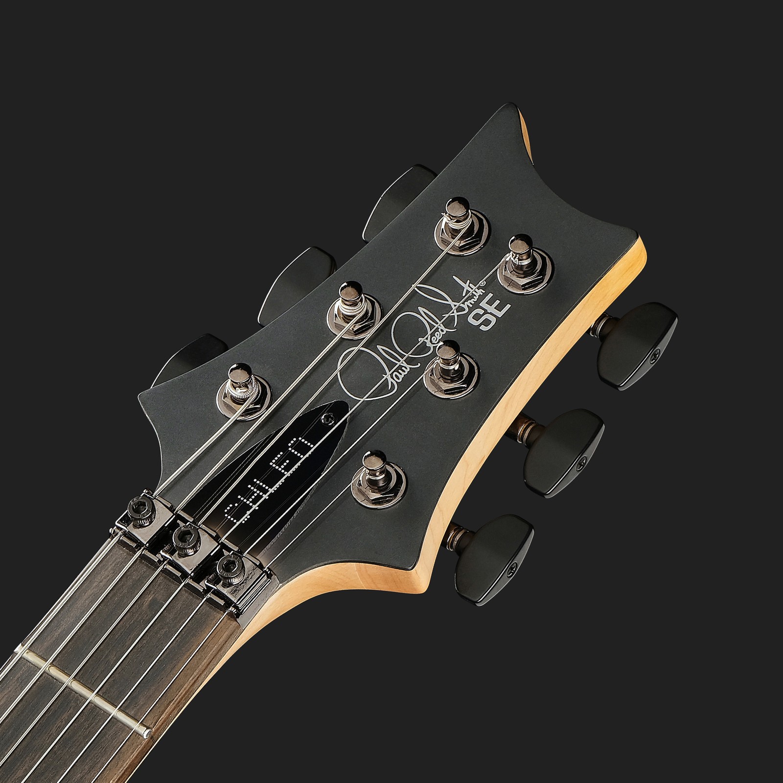 Kopfplatte der PRS SE Chleo Herman Li CPB