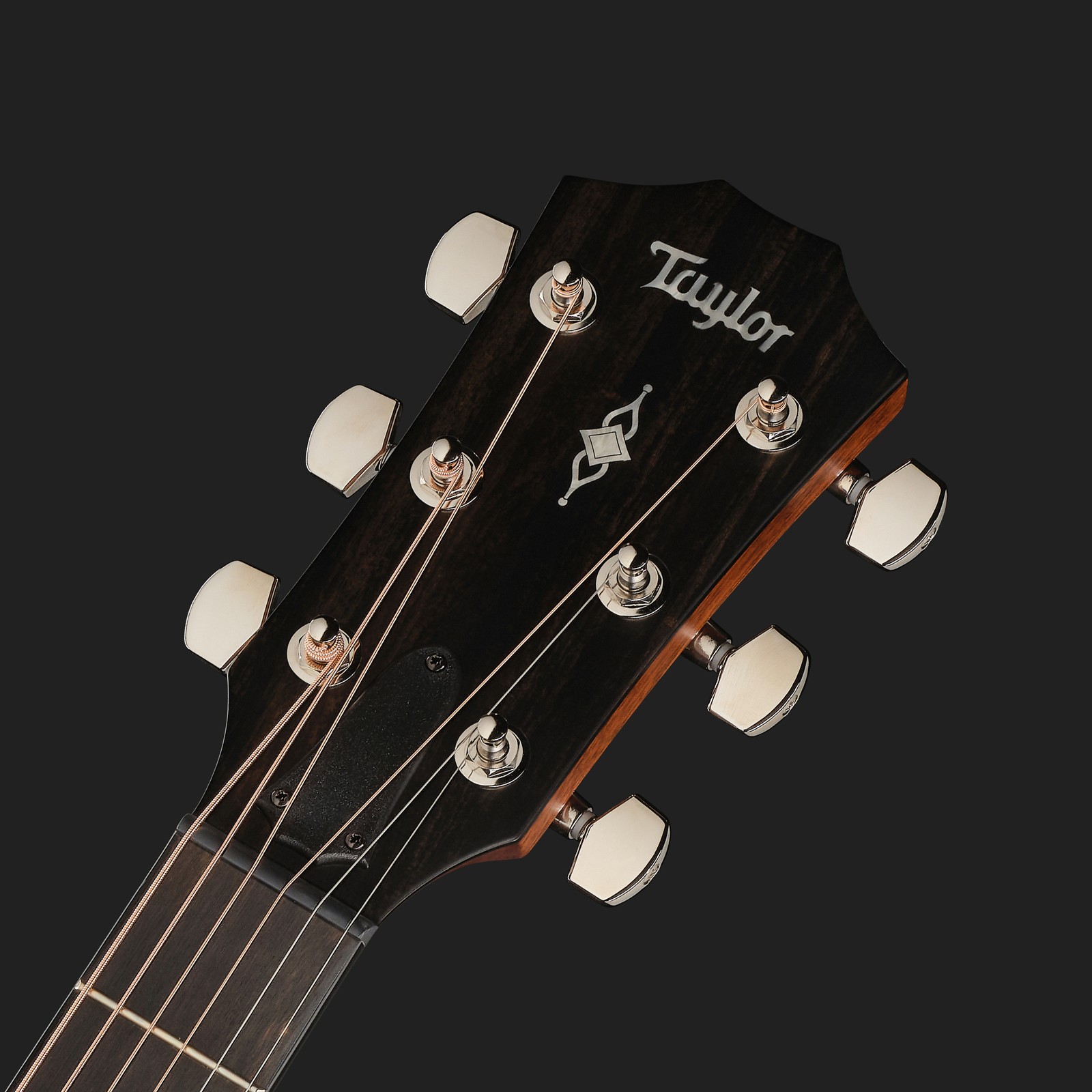Taylor 314ce V-Class Akustikgitarre Kopfplatte