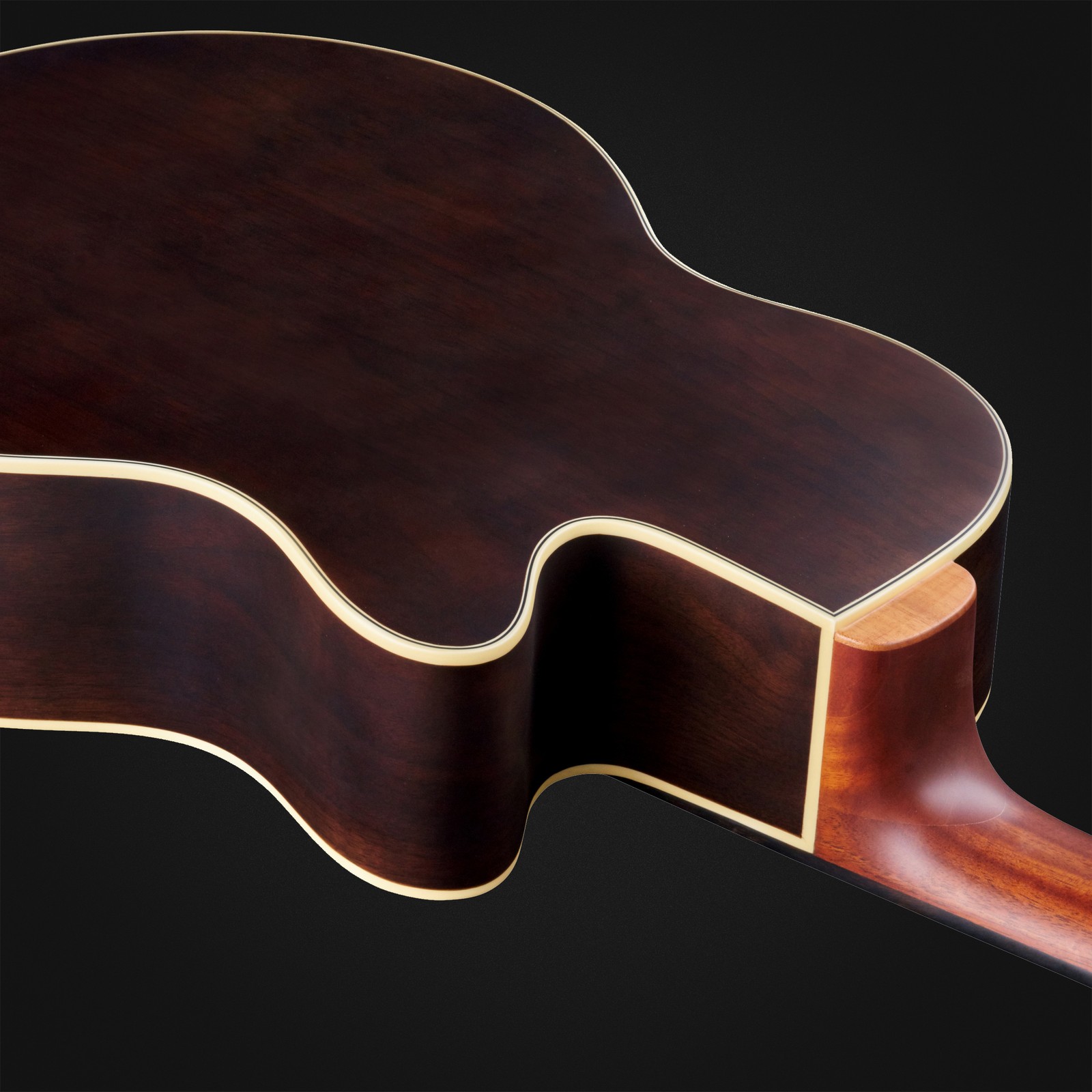 Rear view, Warwick RockBass Alien Deluxe 6 Natural FL LH, acoustic six-string left-handed fretless bass