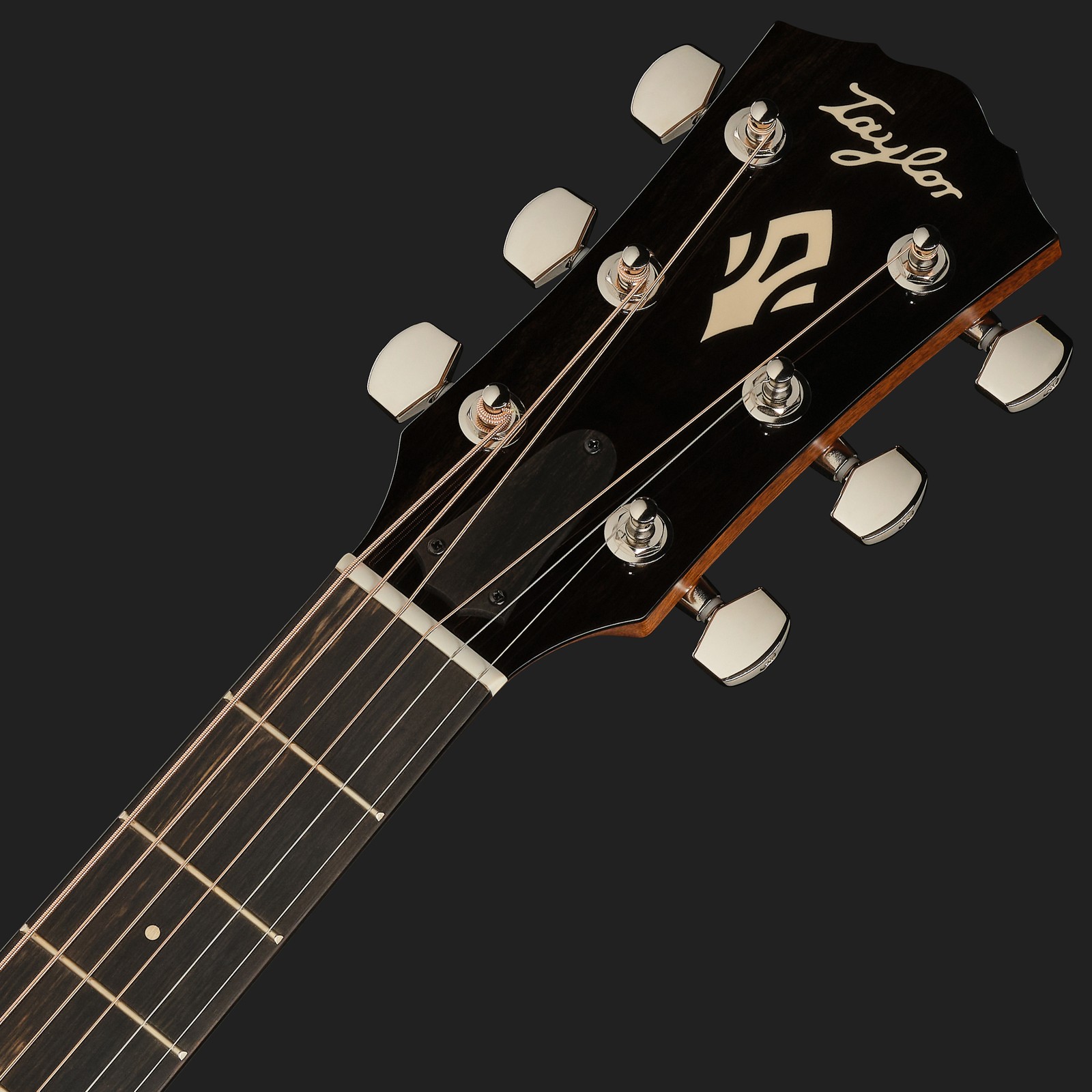 Kopfplatte der Taylor Gold Label 717e Westerngitarre