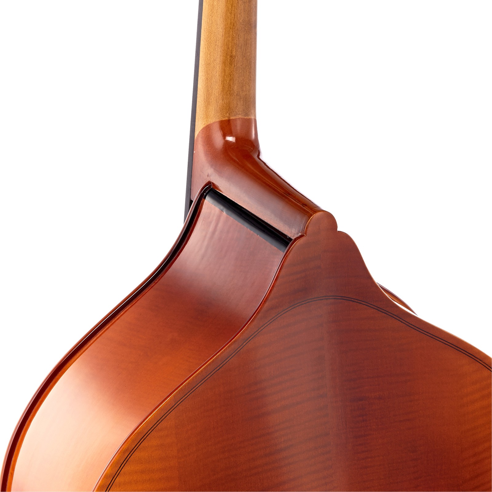 Thomann 11 1/8 Europe Kontrabass Halsübergang