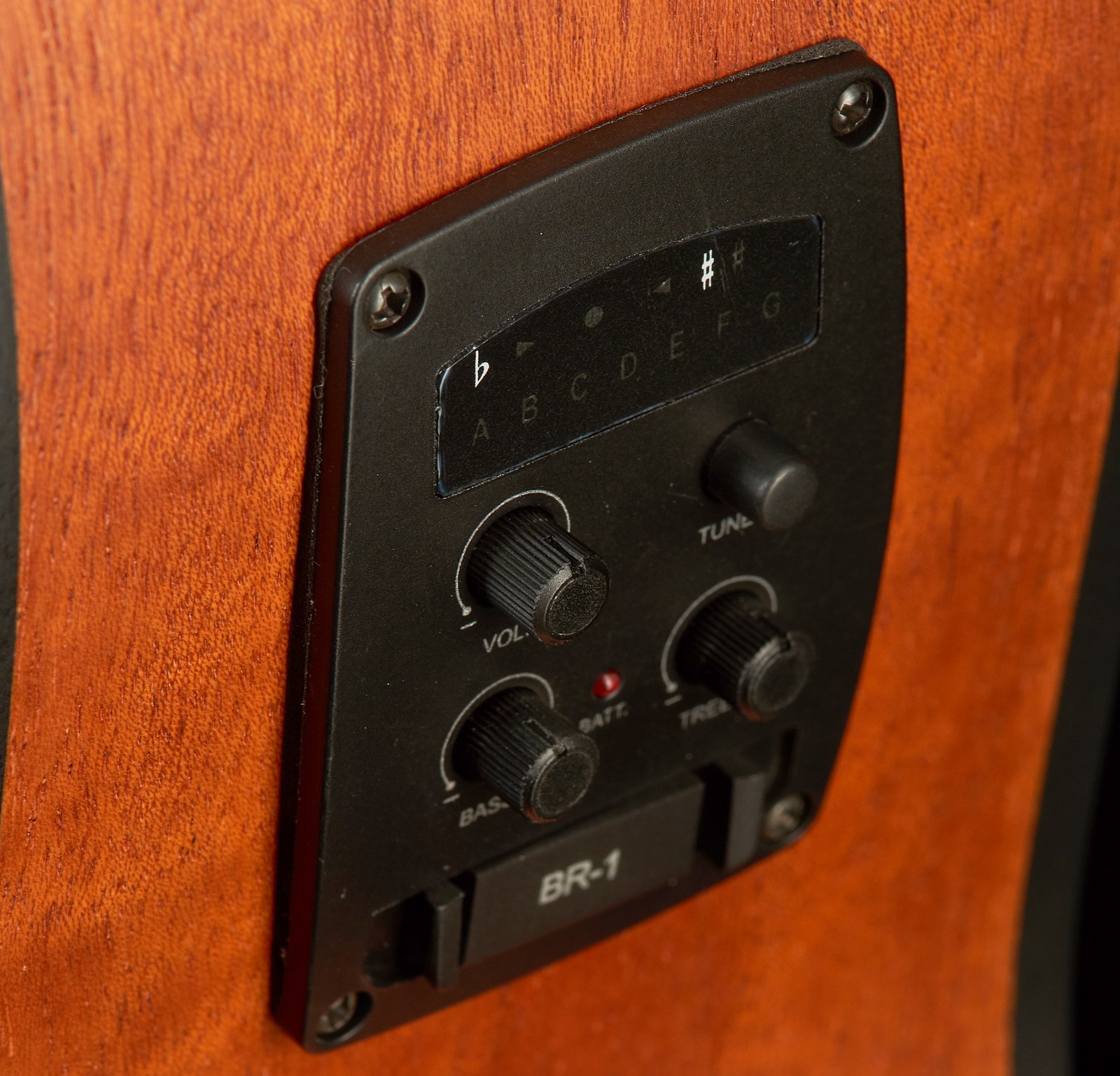 La Mancha Rubinito LSM/63-CEN, Preamp