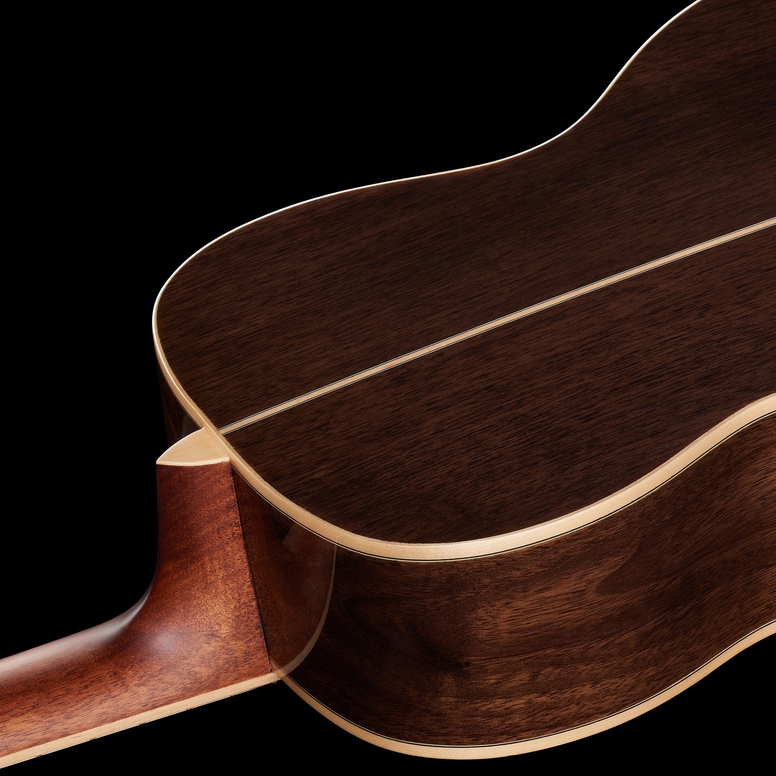 Walnuss Korpus auf der Rückseite der Harley Benton CLF-200 WN