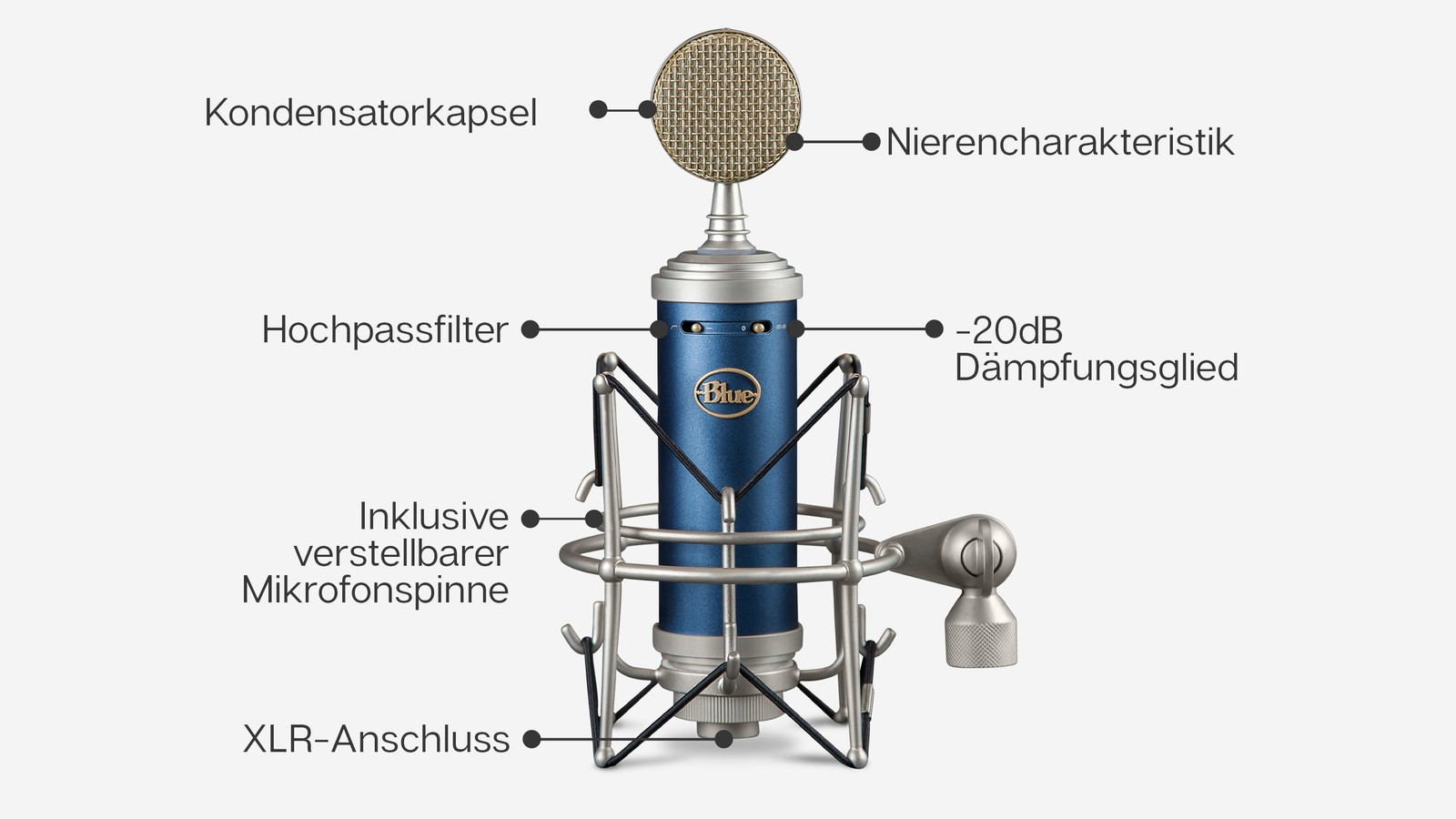 Blue Microphones Bluebird SL – Musikhaus Thomann