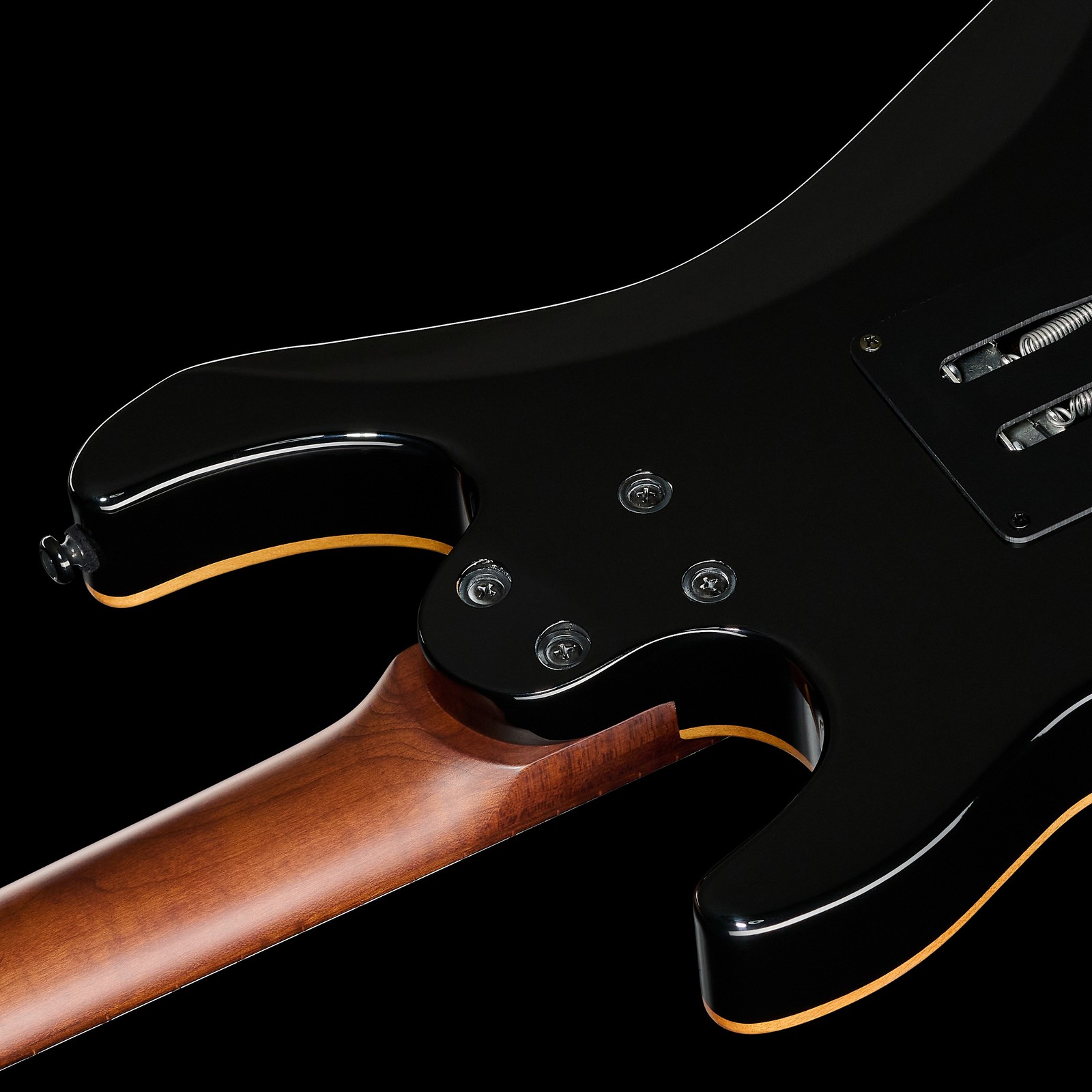 Harley Benton Guitar MAX Fusion Signature HO, Rückseite