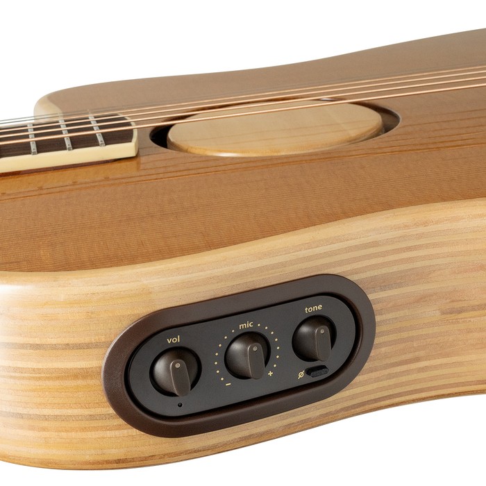 L.R. Baggs HiFi Duet Hybrid