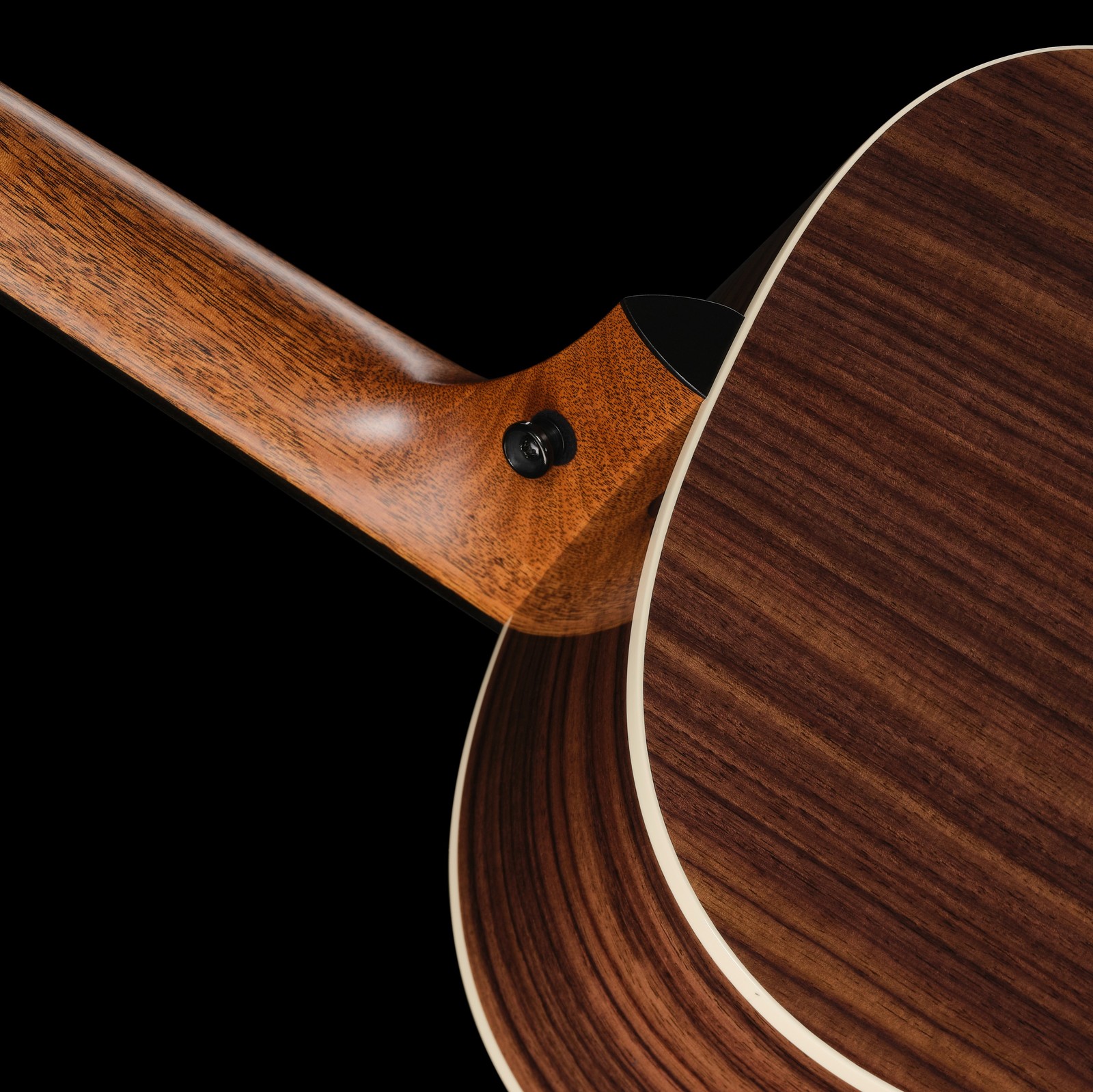 Palisanderkorpus der Taylor Gold Label 717e Westerngitarre