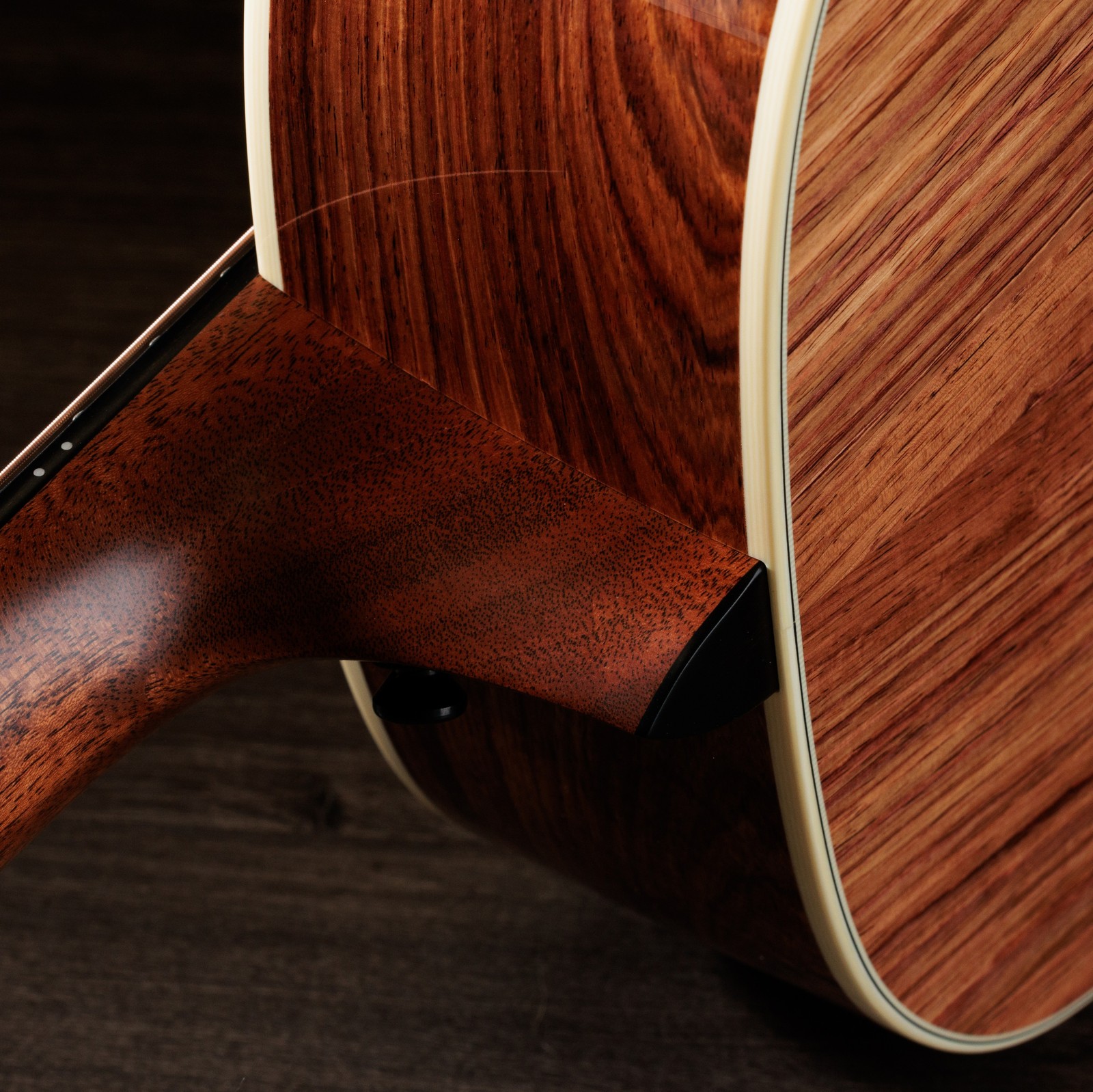 Halsfuß der Taylor Gold Label 814e mit Palisander Korpus