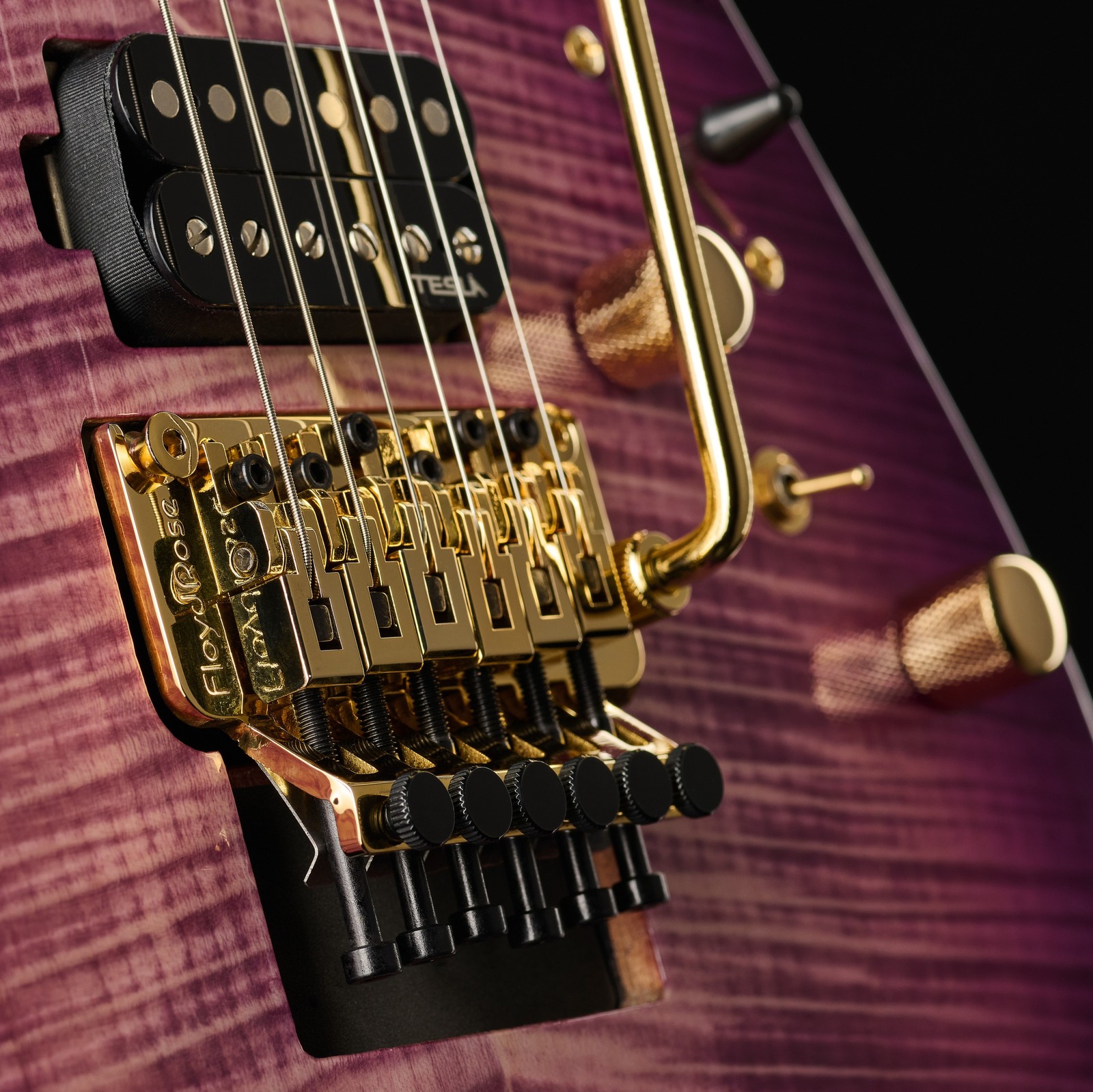 Harley Benton Guitar MAX Fusion Signature PF, Korpus und Floyd Rose