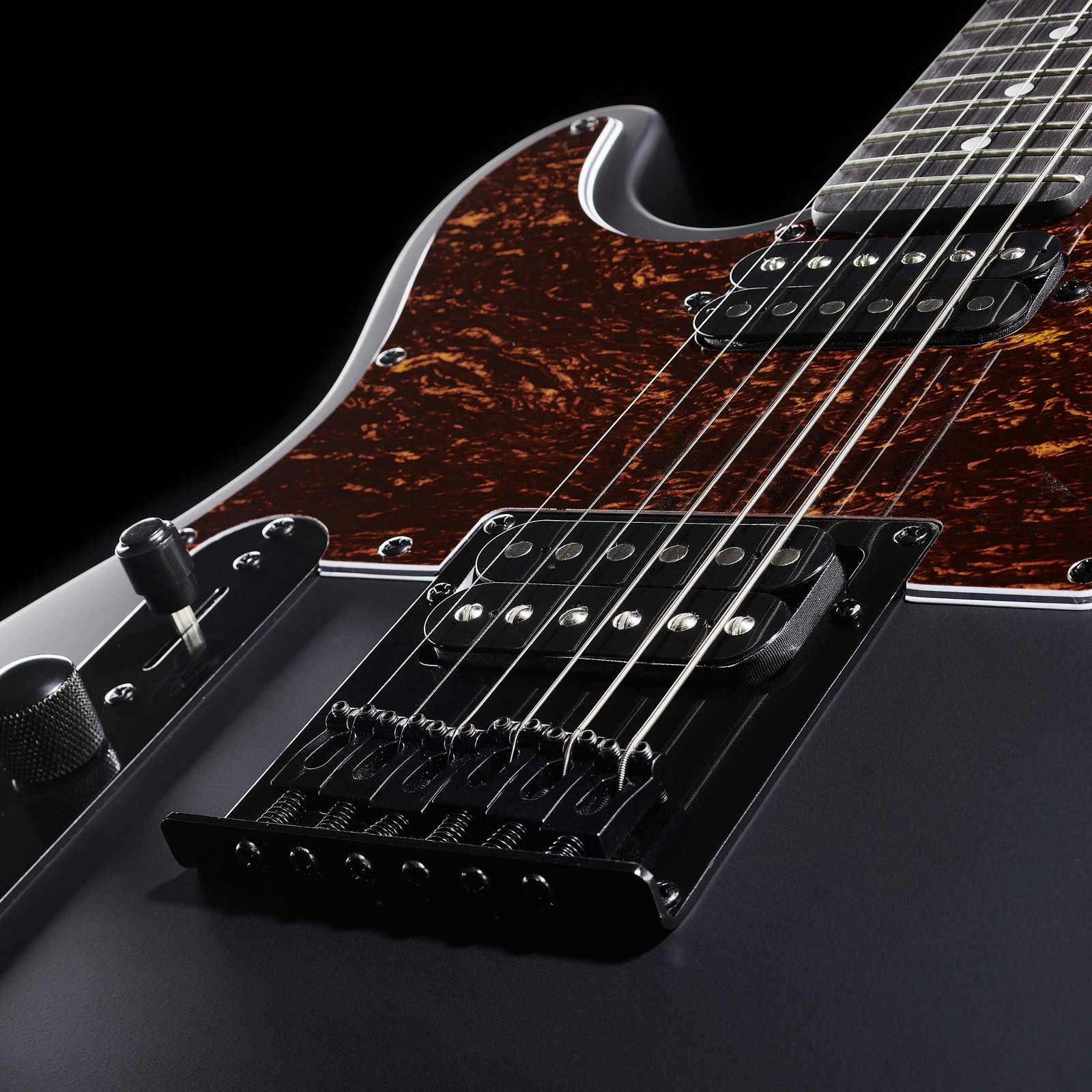 ポチョムキン　Harley Benton TE-20HH SBK TE-20HH SBK - Harley Benton