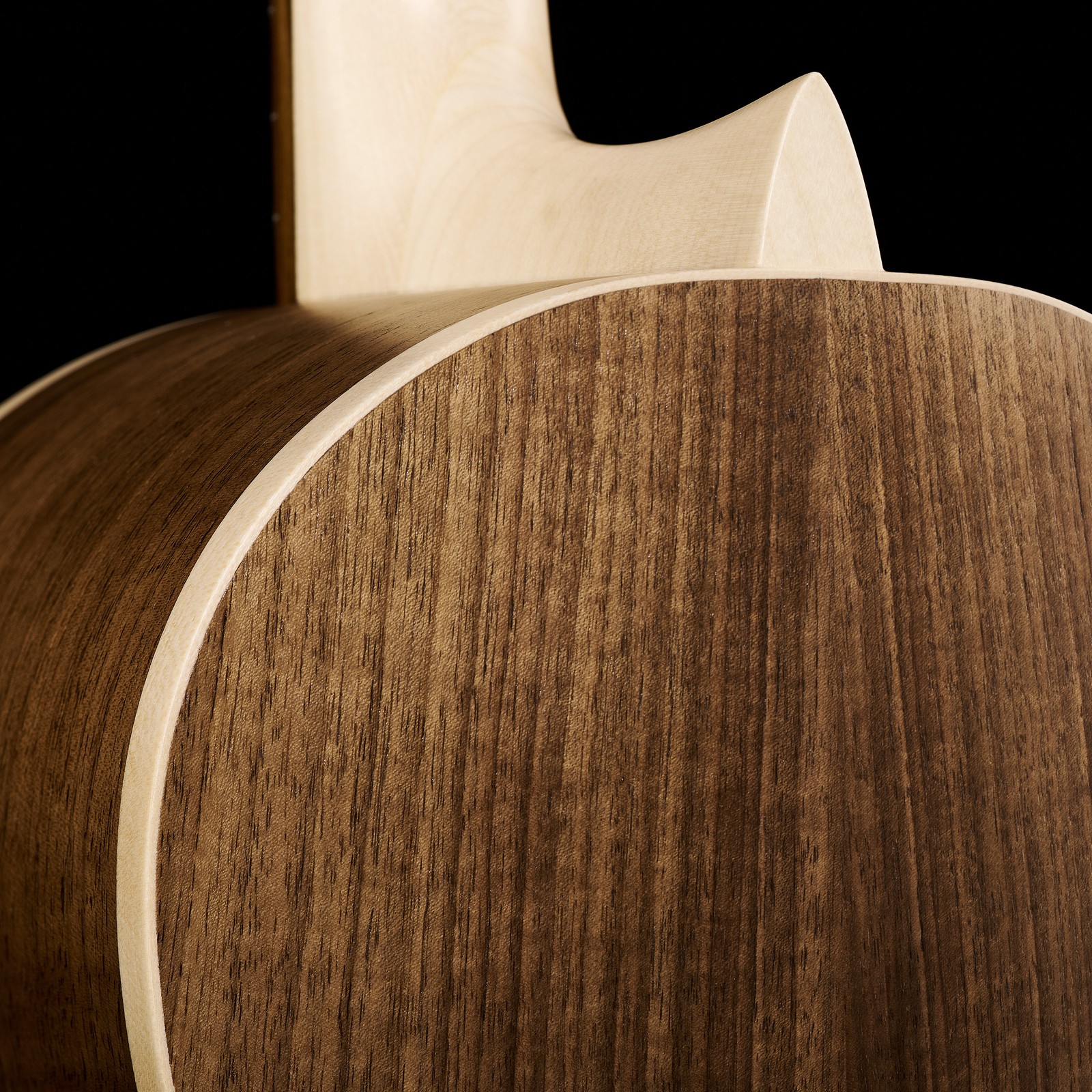 Korpus aus Walnuss auf der Rückseite der Manuel Rodriguez E-53