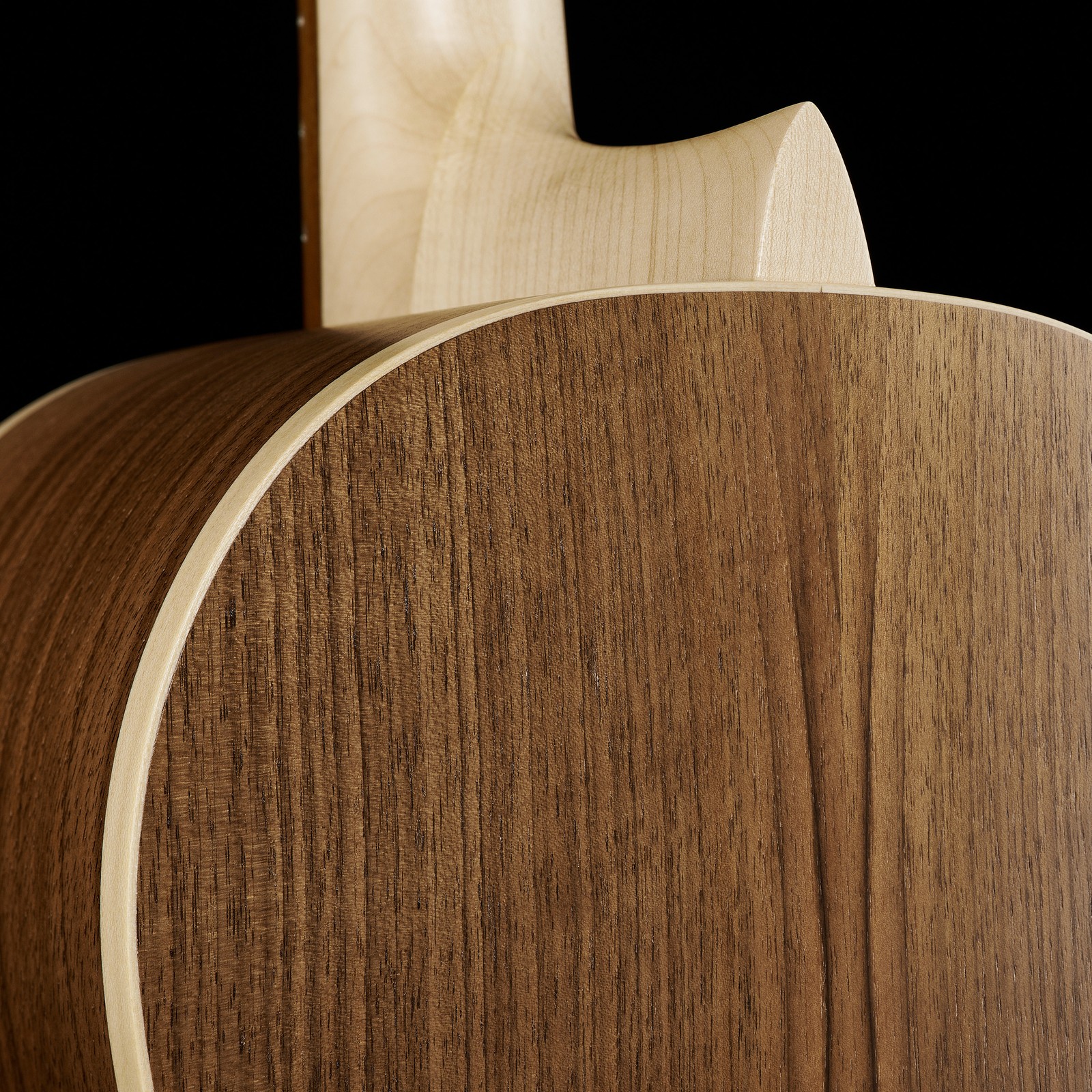 Korpus aus Walnuss auf der Rückseite der Manuel Rodriguez E-62