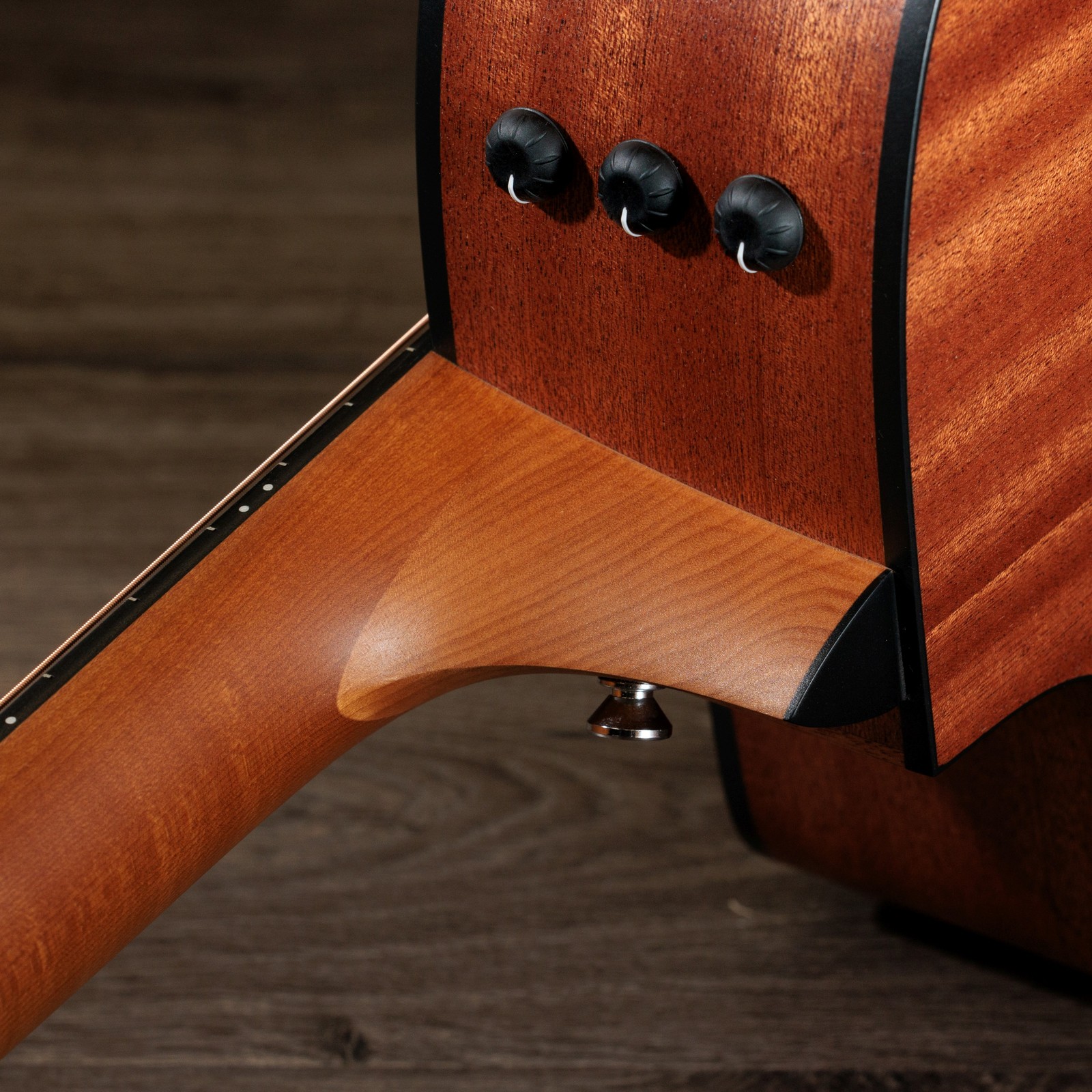 Expression System 2 in der Zarge der Taylor 114ce Sapele 