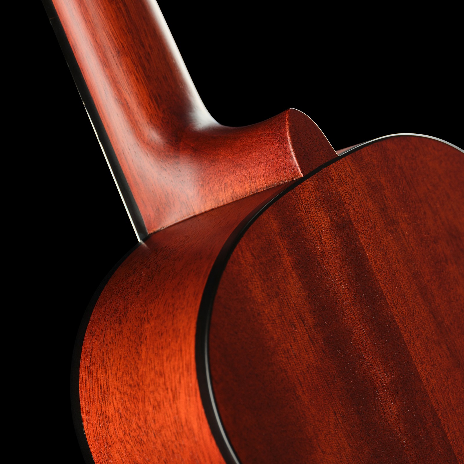 Halsübergang der Gewa Student Natural Cedar 1/4 Konzertgitarre