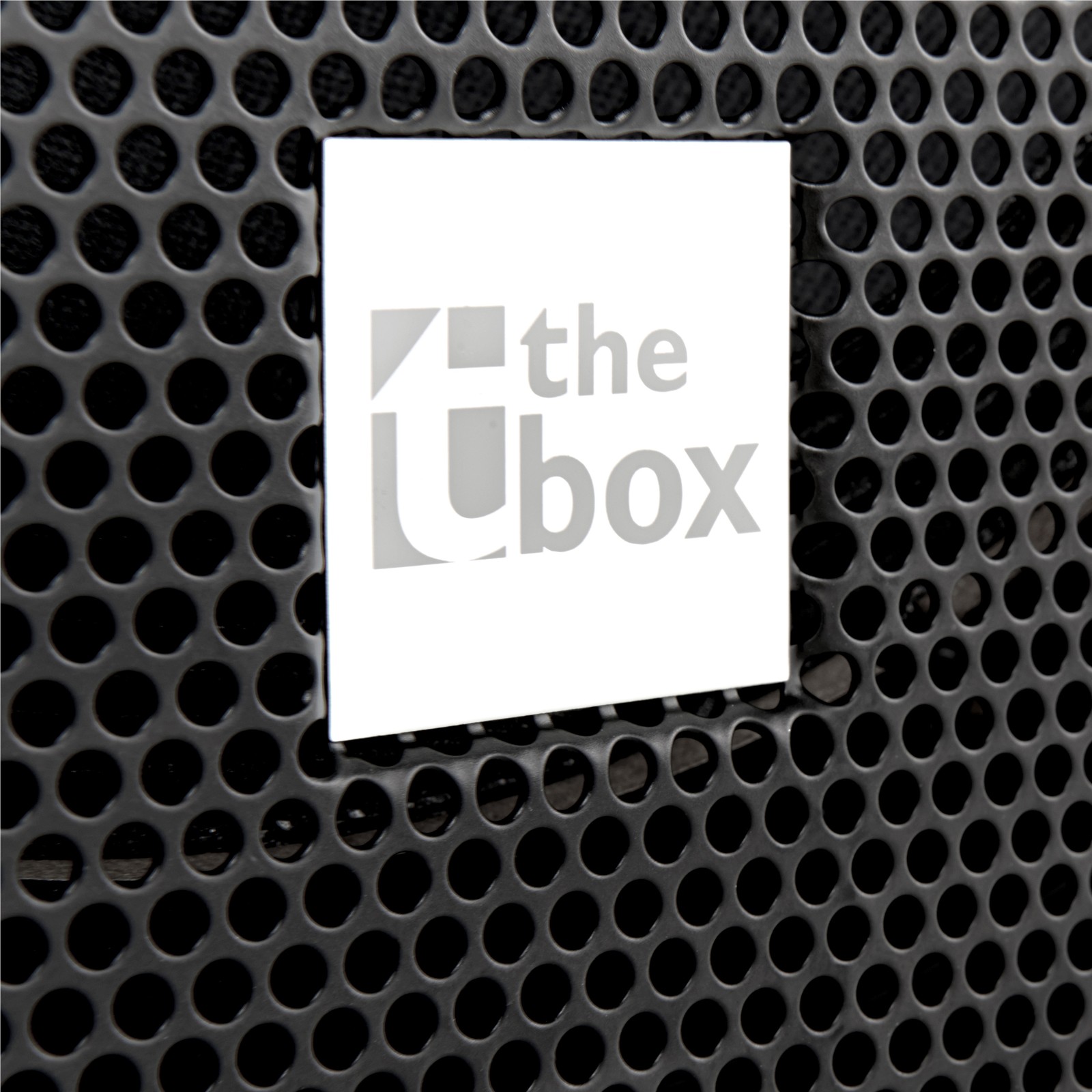 the box Logo am passiven Pyrit 12 High Power Fullrangelautsprecher