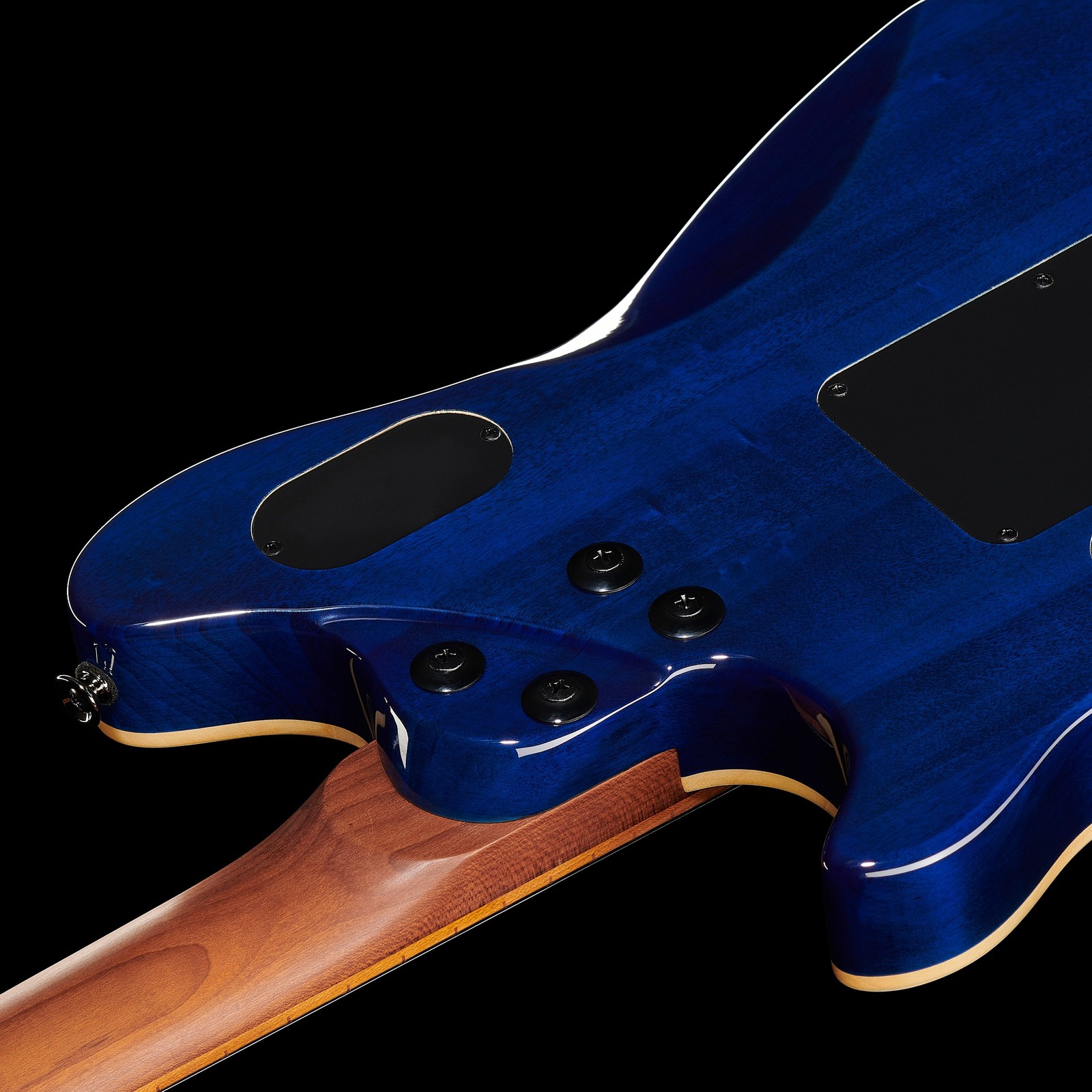 Geschraubter Hals auf der Rückseite der Evh Wolfgang WG Std QM CB