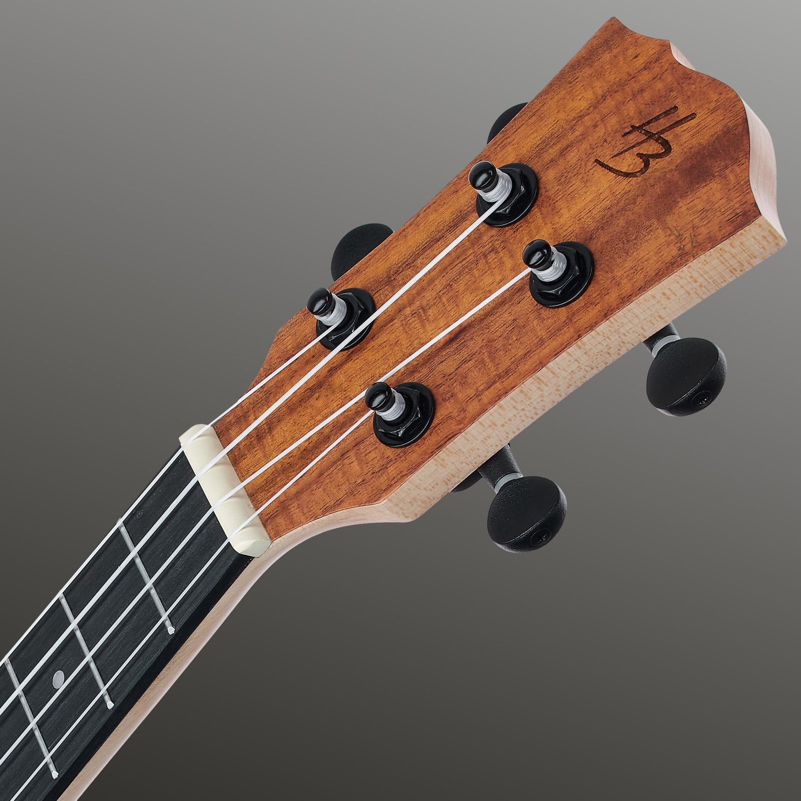 HB Logo auf der Ukulele Kopfplatte mit Nylonsaiten