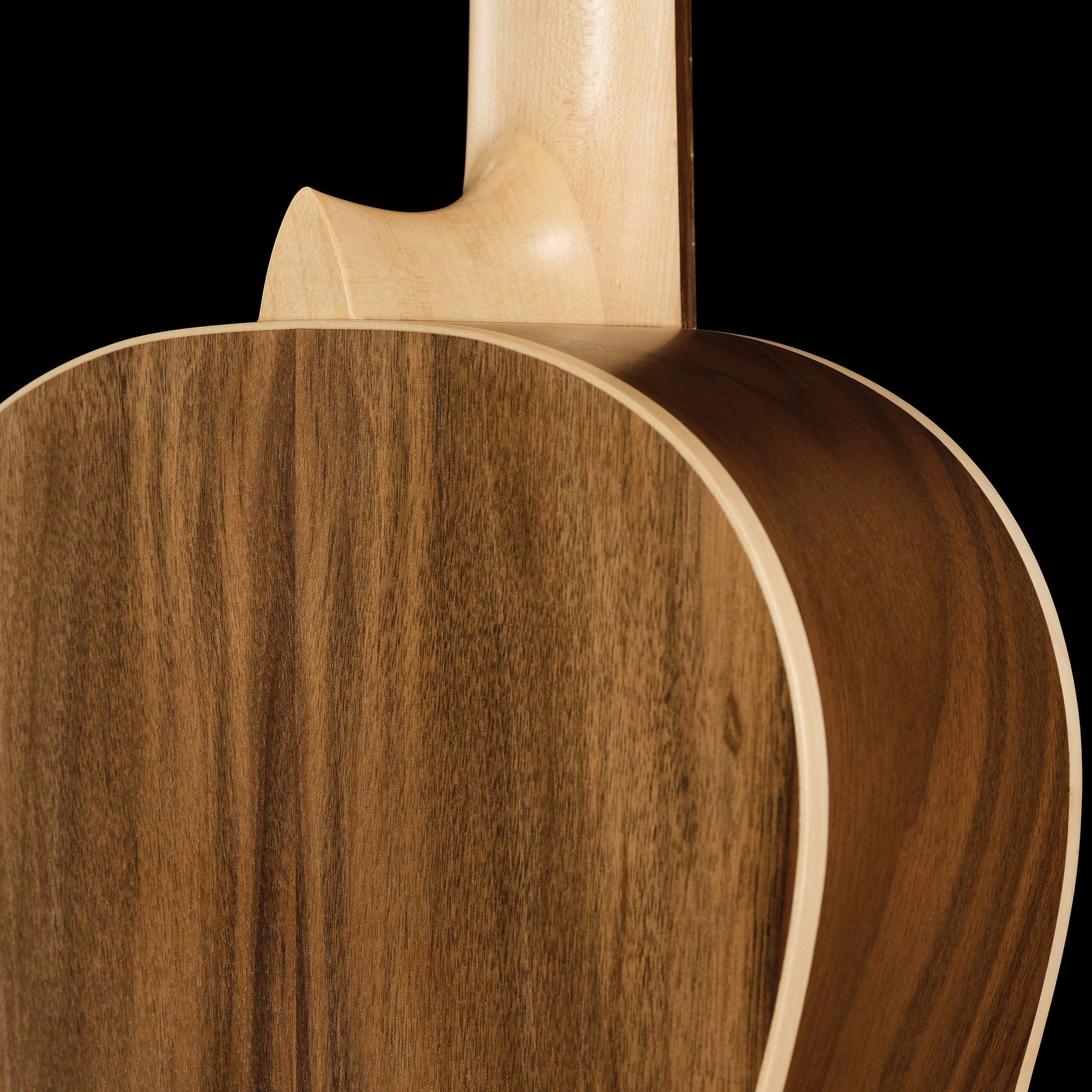 Korpus aus Walnuss auf der Rückseite der Manuel Rodriguez E-65