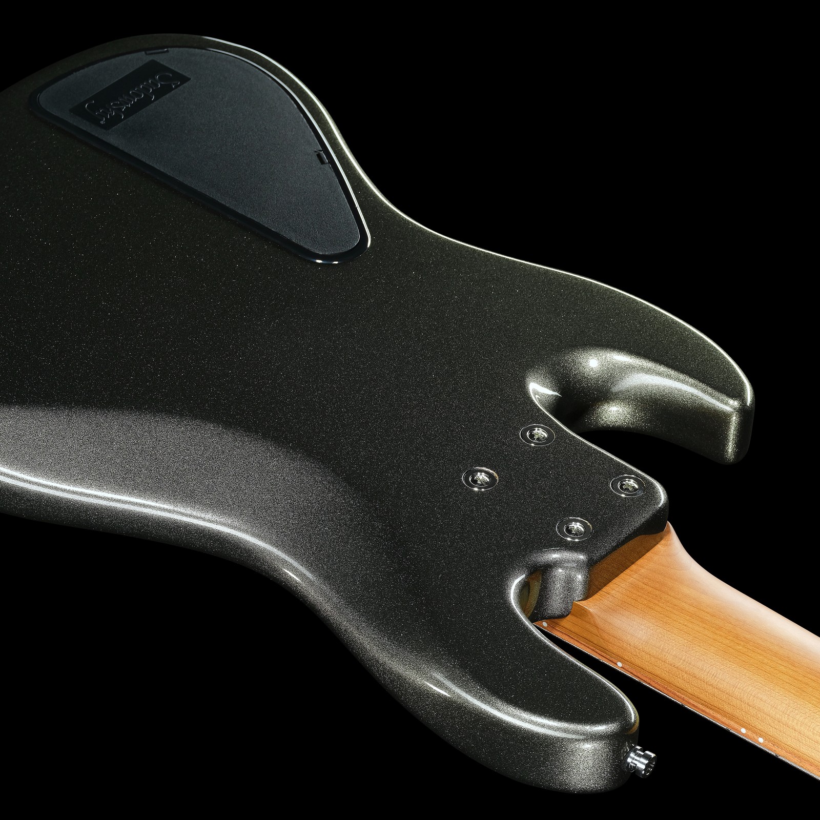 Sadowsky MetroExpress 21 Vintage JJ5 Morado Silver Sparkle, five-string bass, rear view