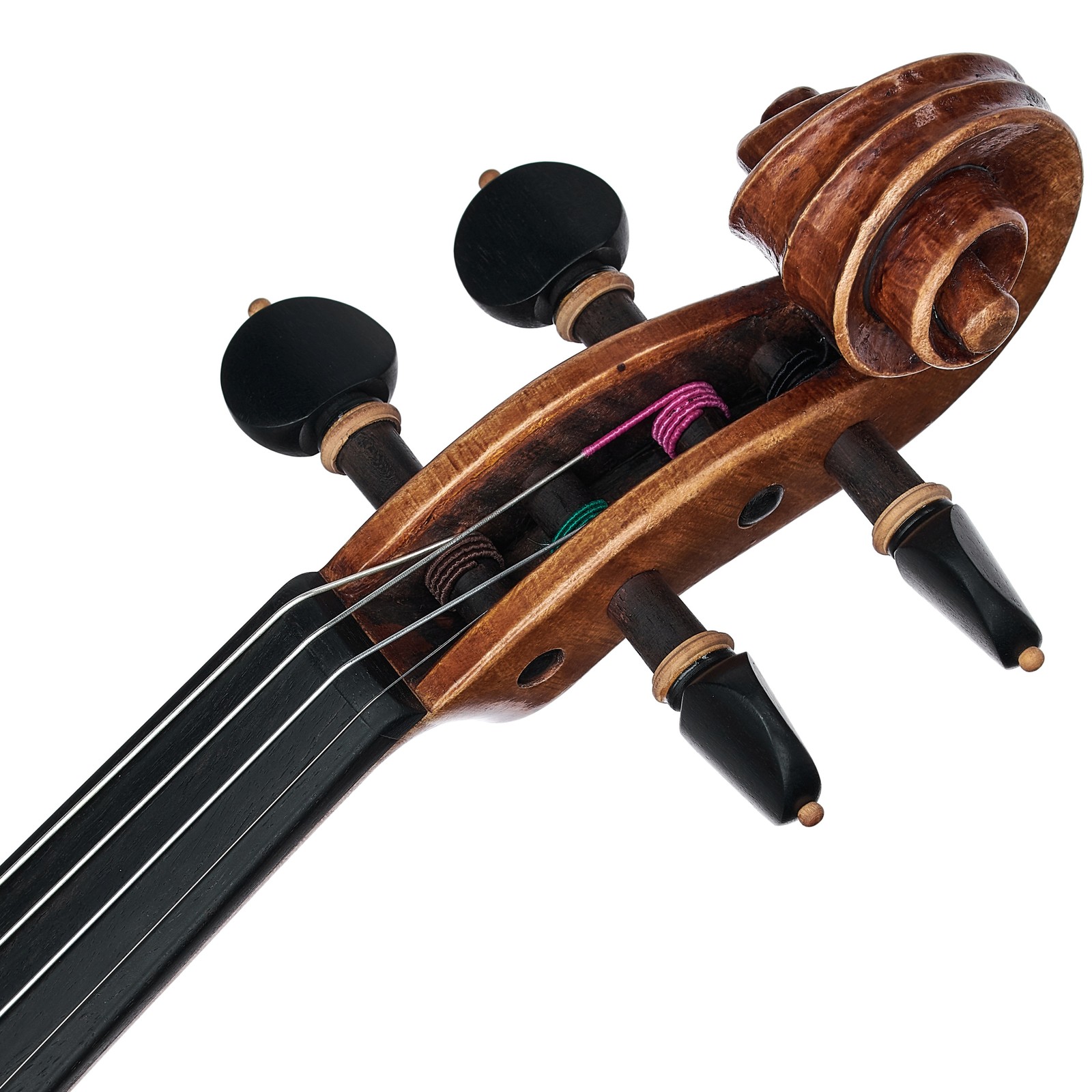 Geigenkopf mit Schnecke und Ebenholz