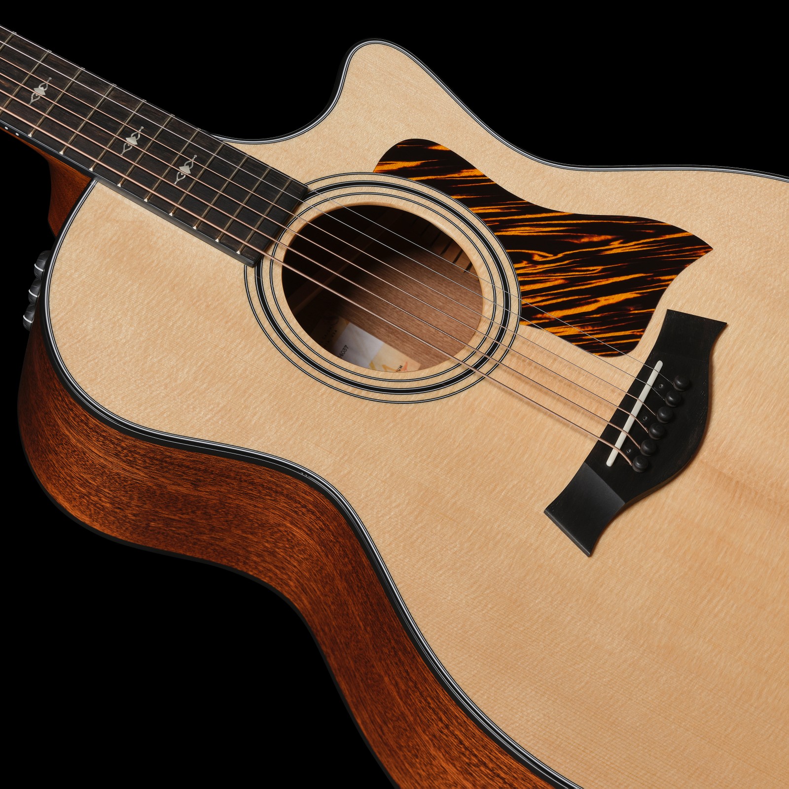 Schallloch der Taylor 314ce V-Class Akustikgitarre