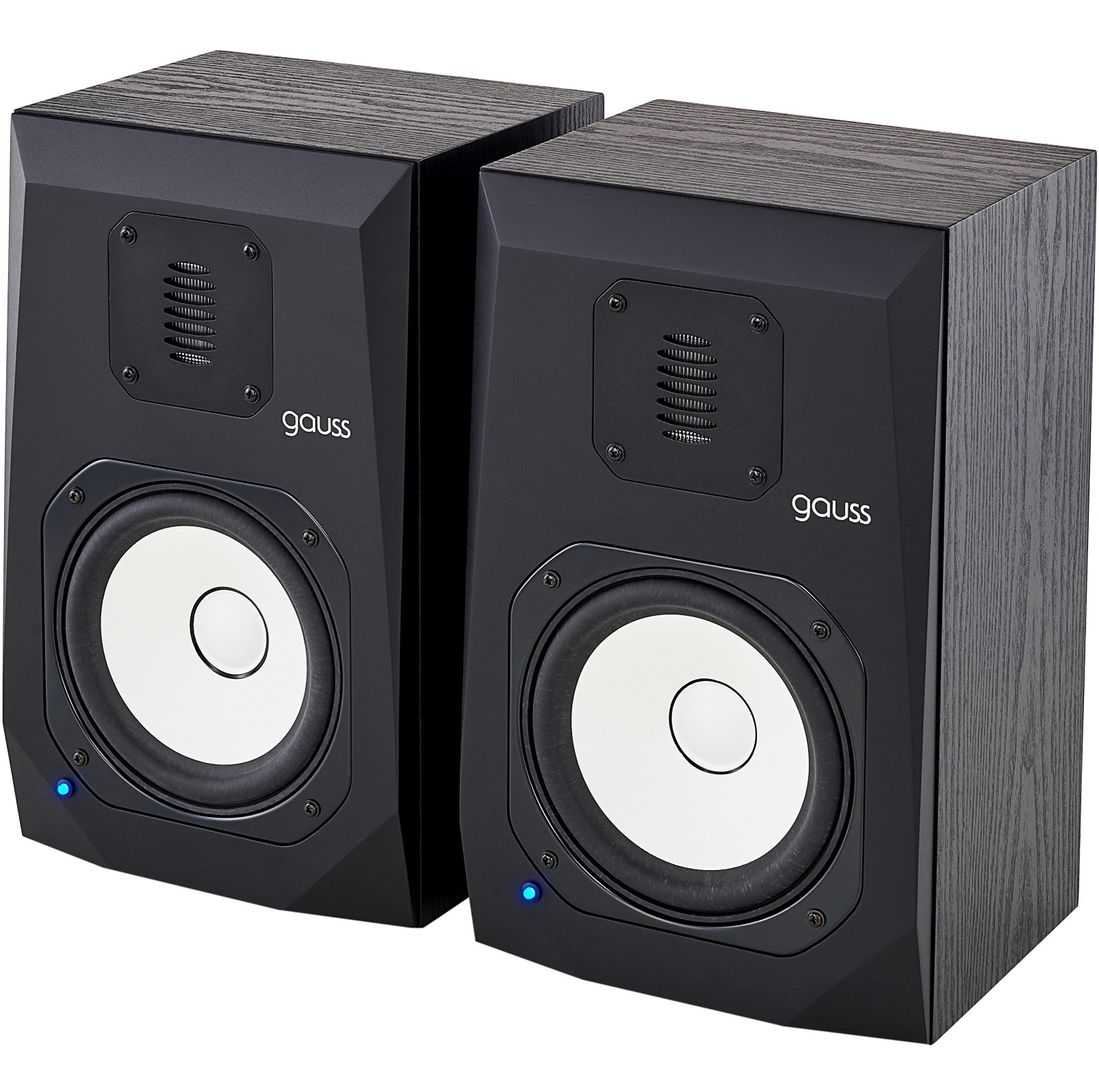 A pair of Avantone Pro Gauss 7 monitor speakers