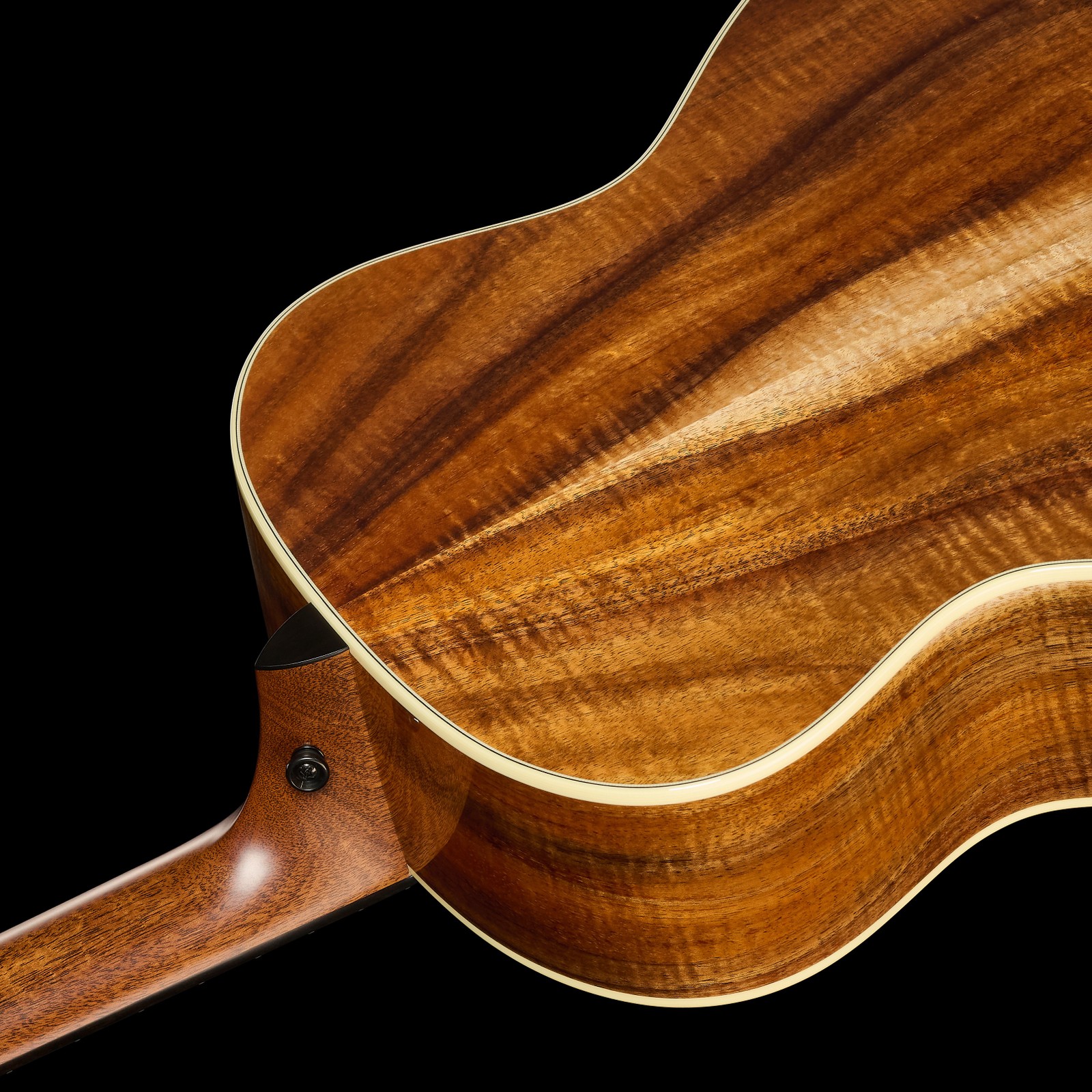Halsfuß der Taylor Gold Label 814e Koa 