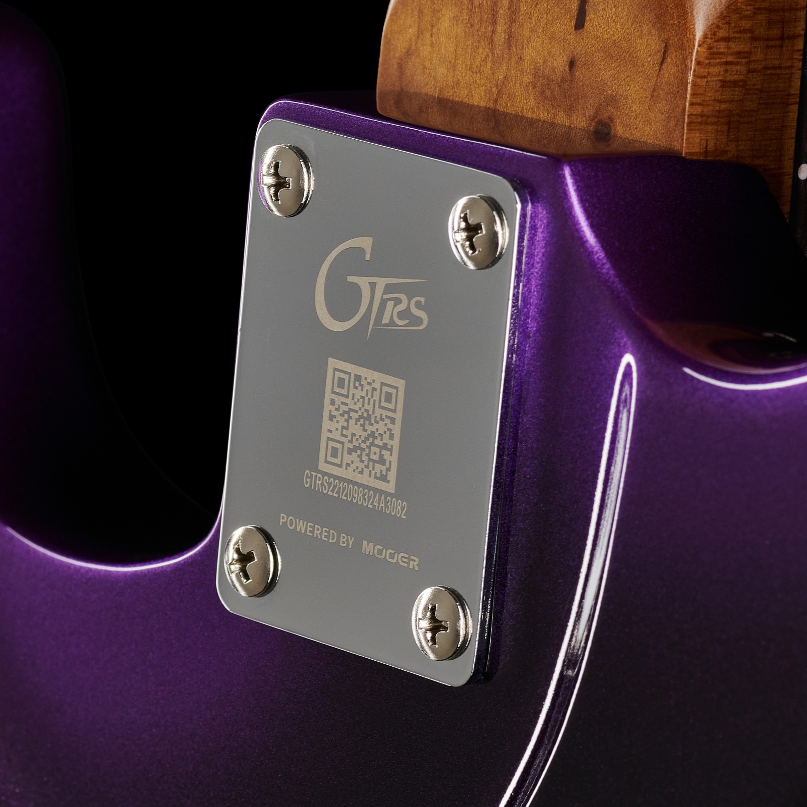 Logo, Mooer GTRS Guitars int. Prof. 800 DP