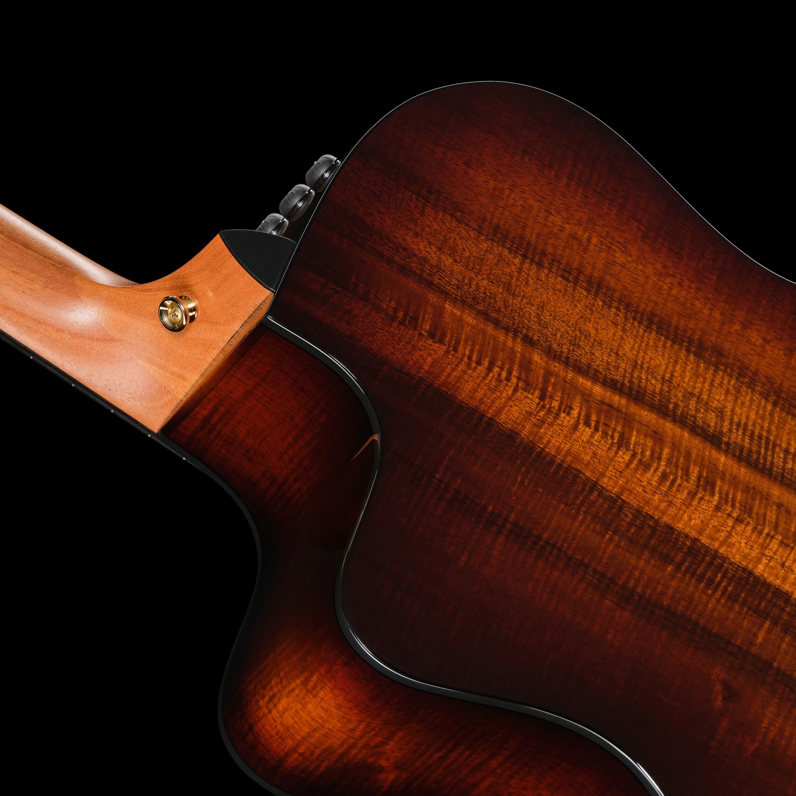 Halsübergang der Taylor 224ce-K DLX Westerngitarre