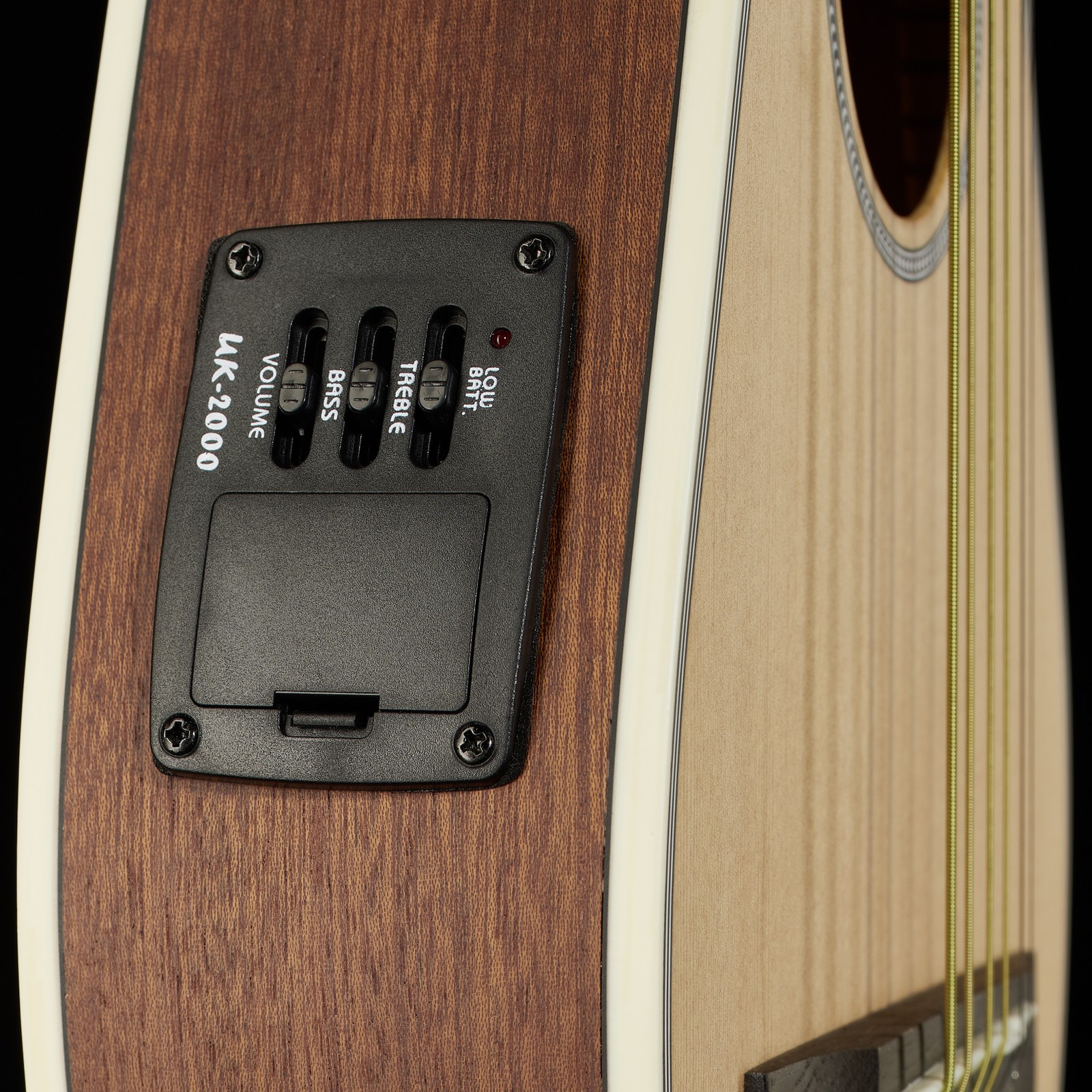 Harley Benton Traveler-E-Steel Detailaufnahme Elektronik Batteriefach