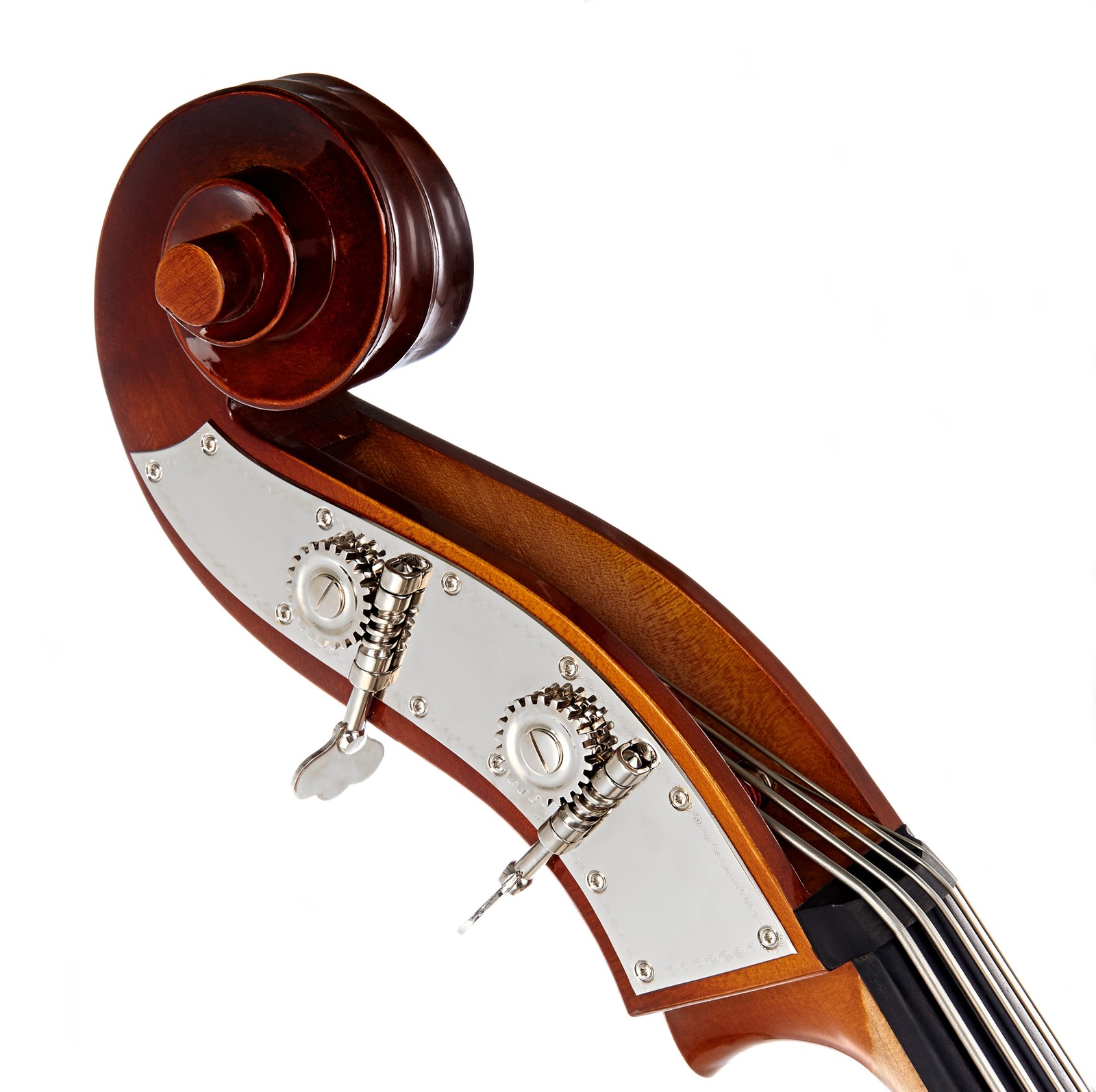 Thomann Double Bass Headstock