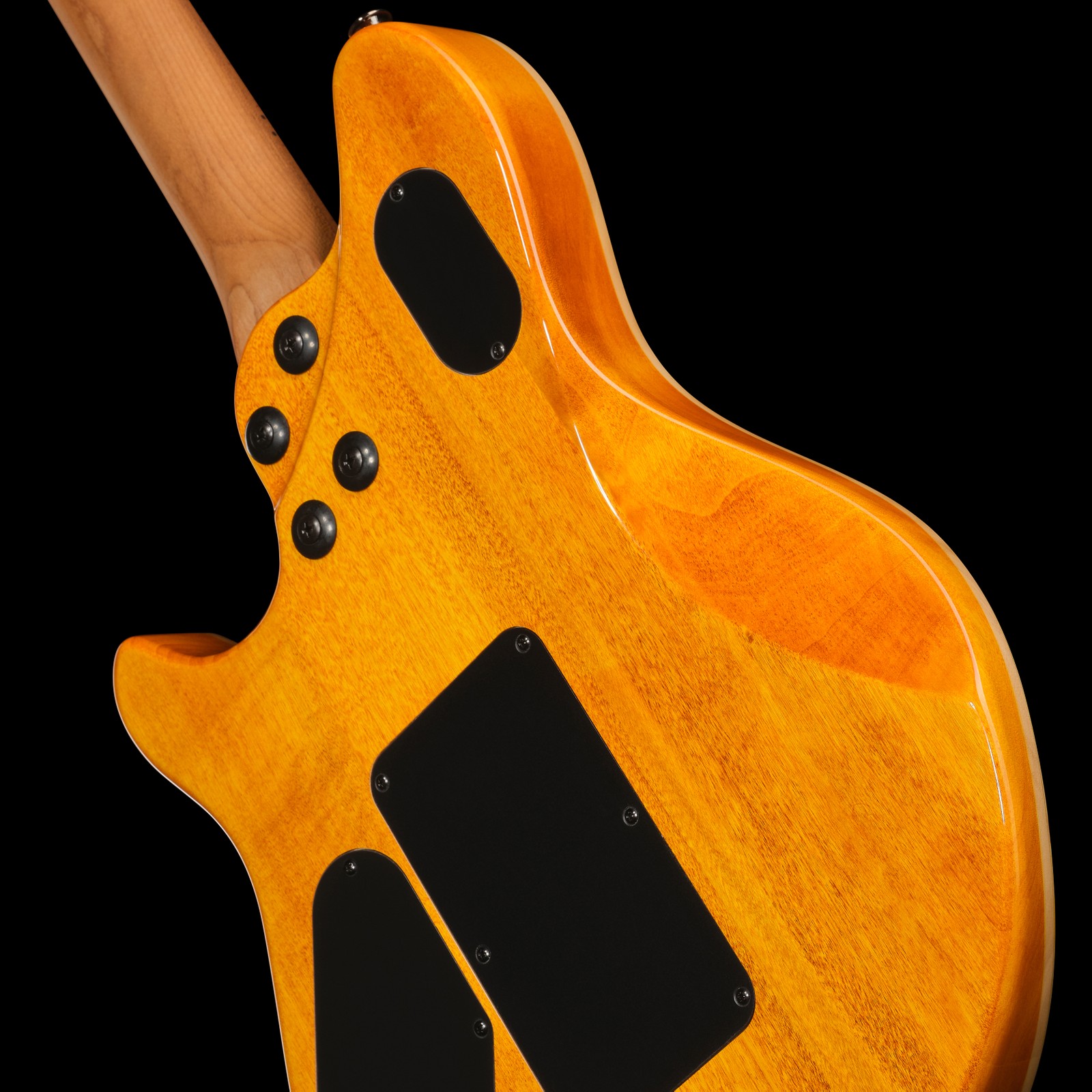 Geschraubter Hals auf der Rückseite der Evh Wolfgang WG Std QM TA