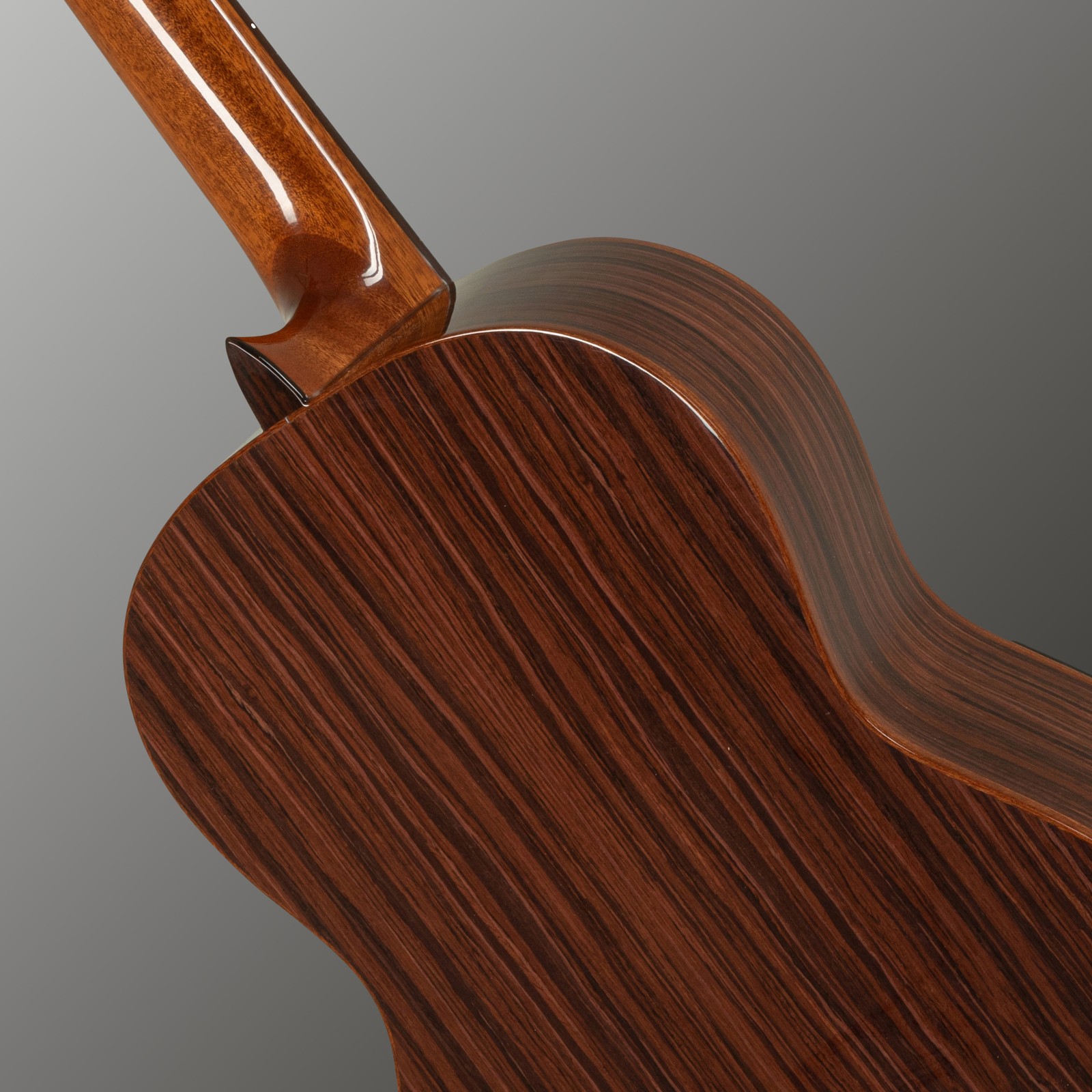 Palisander Korpus auf der Rückseite der Manuel Rodriguez 60-S Spruce