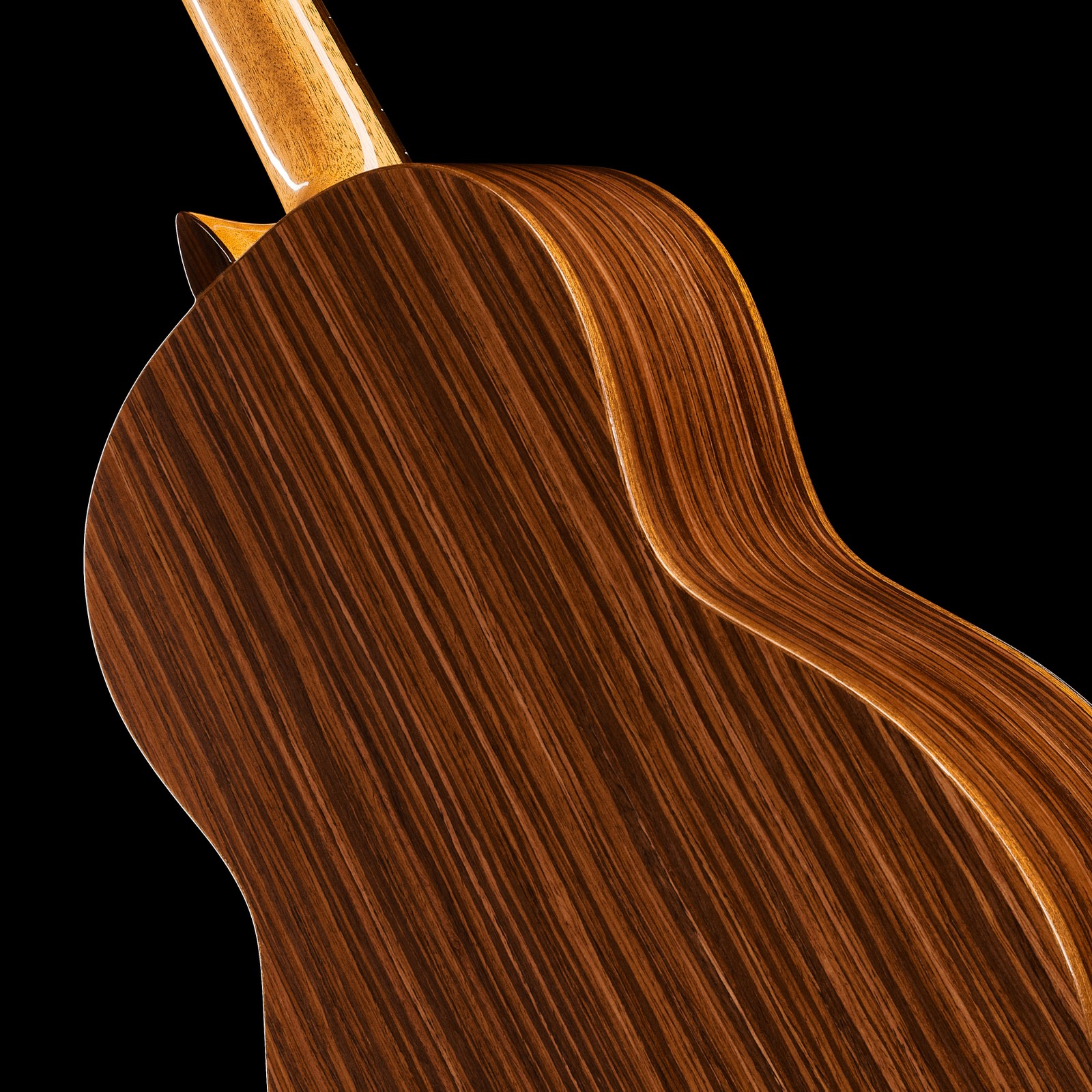 Palisander Korpus auf der Rückseite der Manuel Rodriguez 60-C Cedar